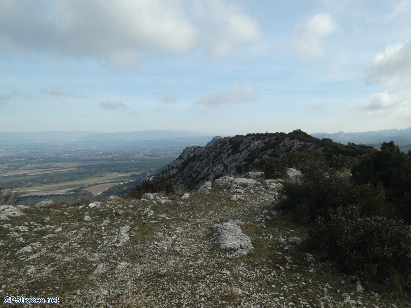 Bouches du Rhône-Alpilles - Chemin de Baume Brignolle - Les Romanins–9