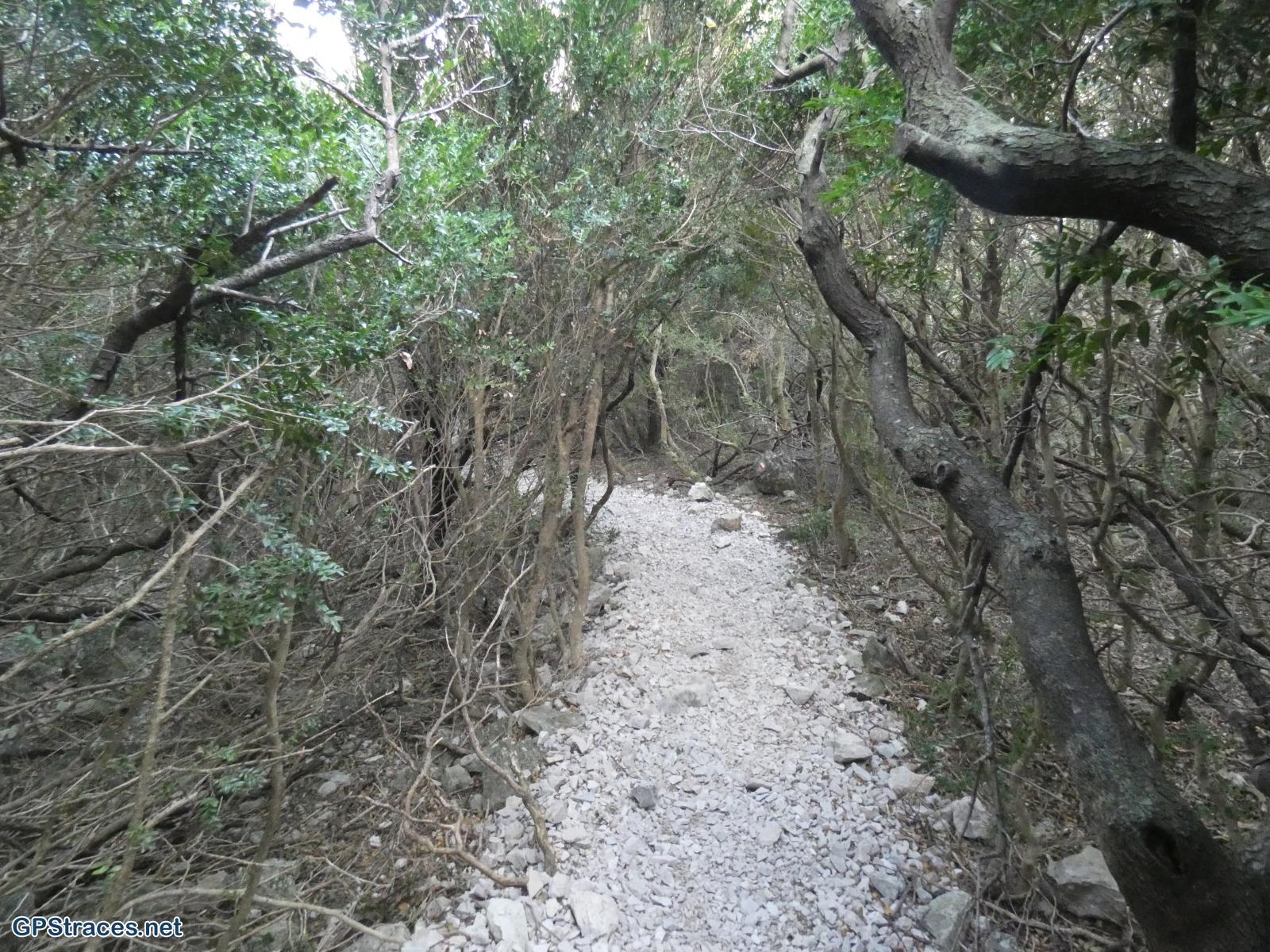 Bouches du Rhône-Alpilles - Chemin de Baume Brignolle - Les Romanins–17