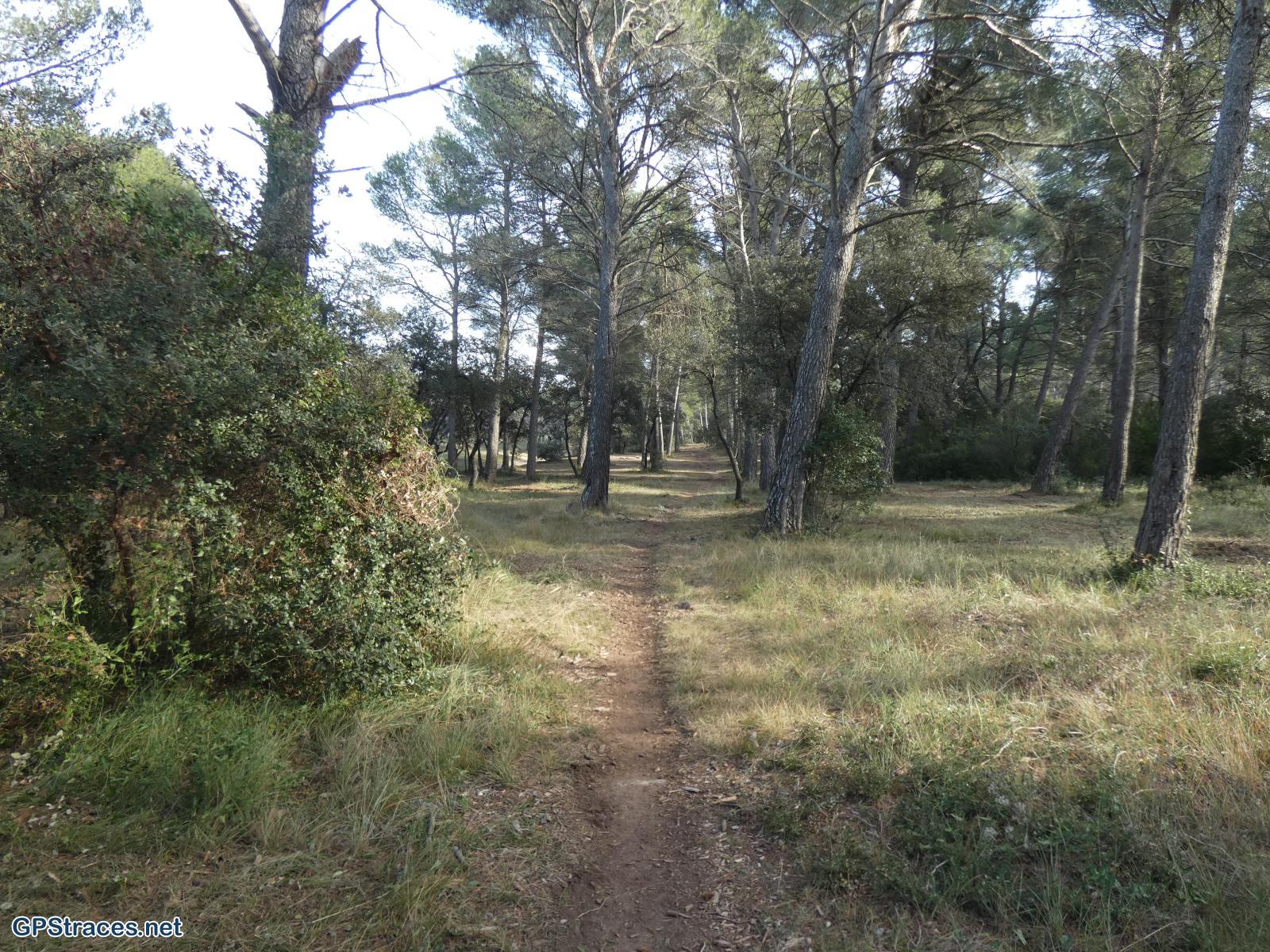 Bouches du Rhône-Alpilles - Chemin de Baume Brignolle - Les Romanins–20