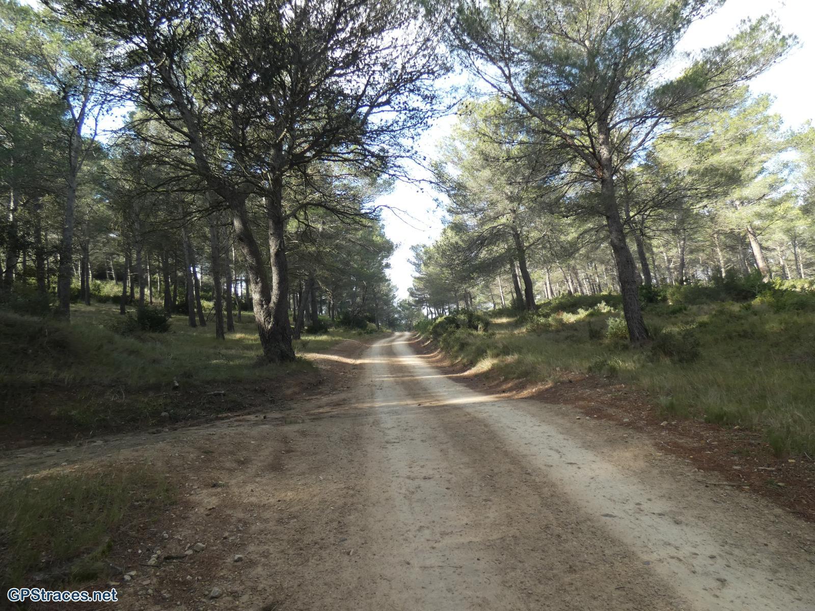 Bouches du Rhône-Alpilles - Chemin de Baume Brignolle - Les Romanins–0