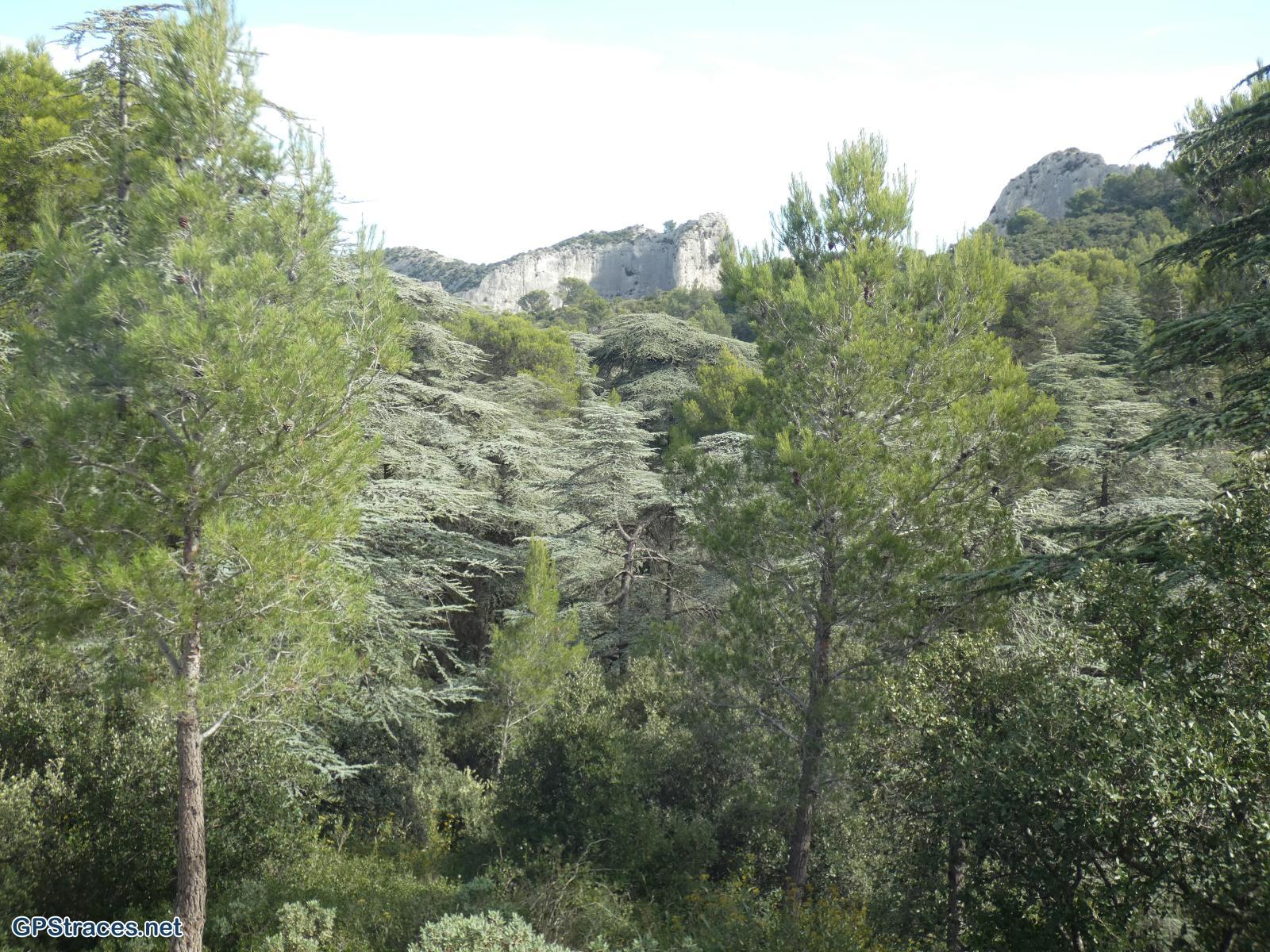 Le mont Gaussier