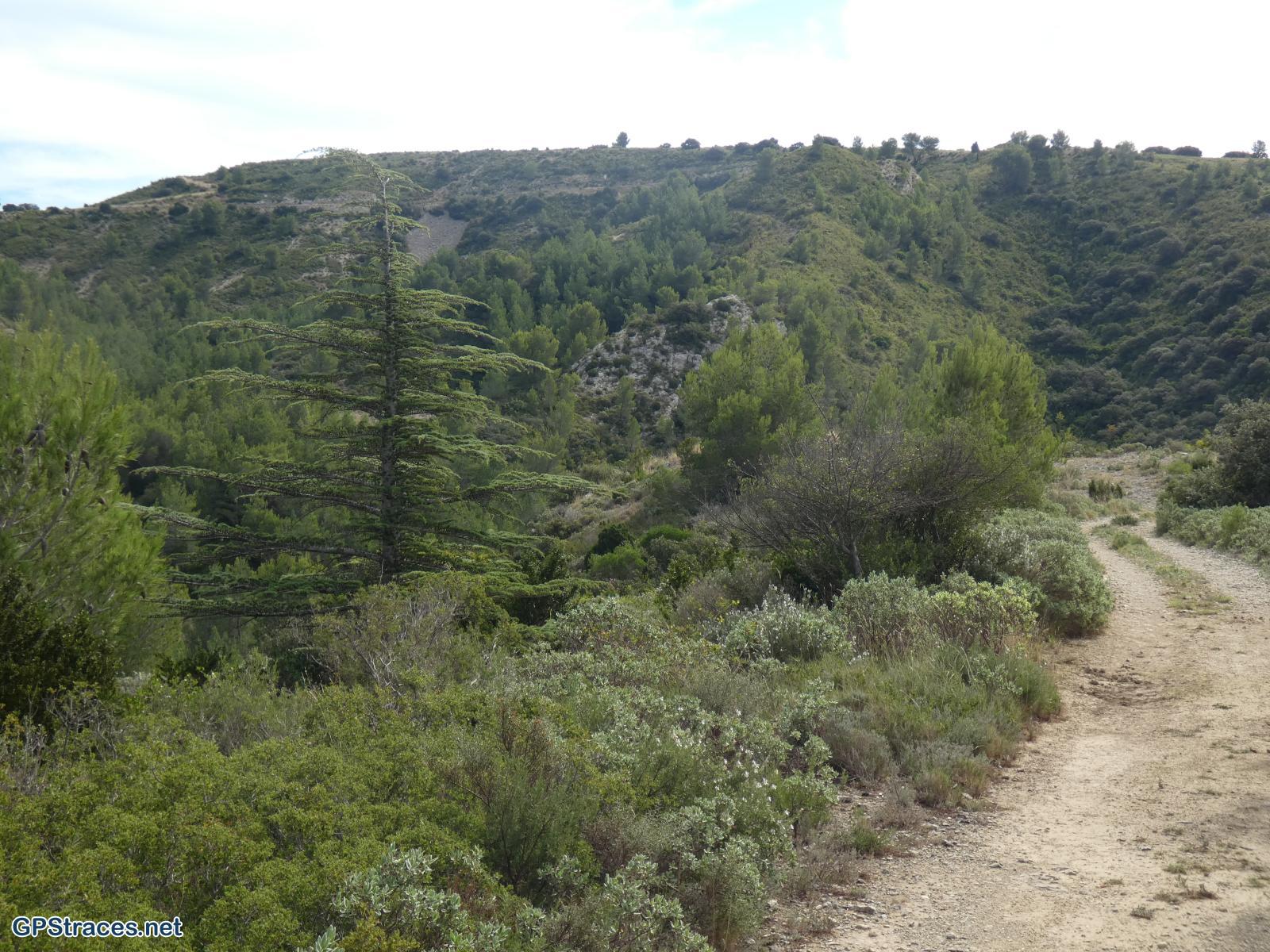 Bouches du Rhône-Alpilles - Chemin de Baume Brignolle - Vallon des Amants–4