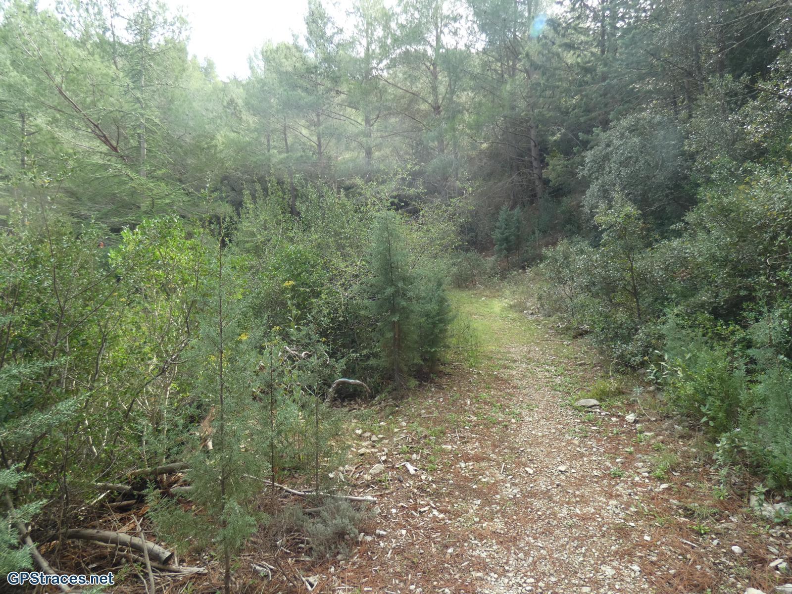 Bouches du Rhône-Alpilles - Chemin de Baume Brignolle - Vallon des Amants–5