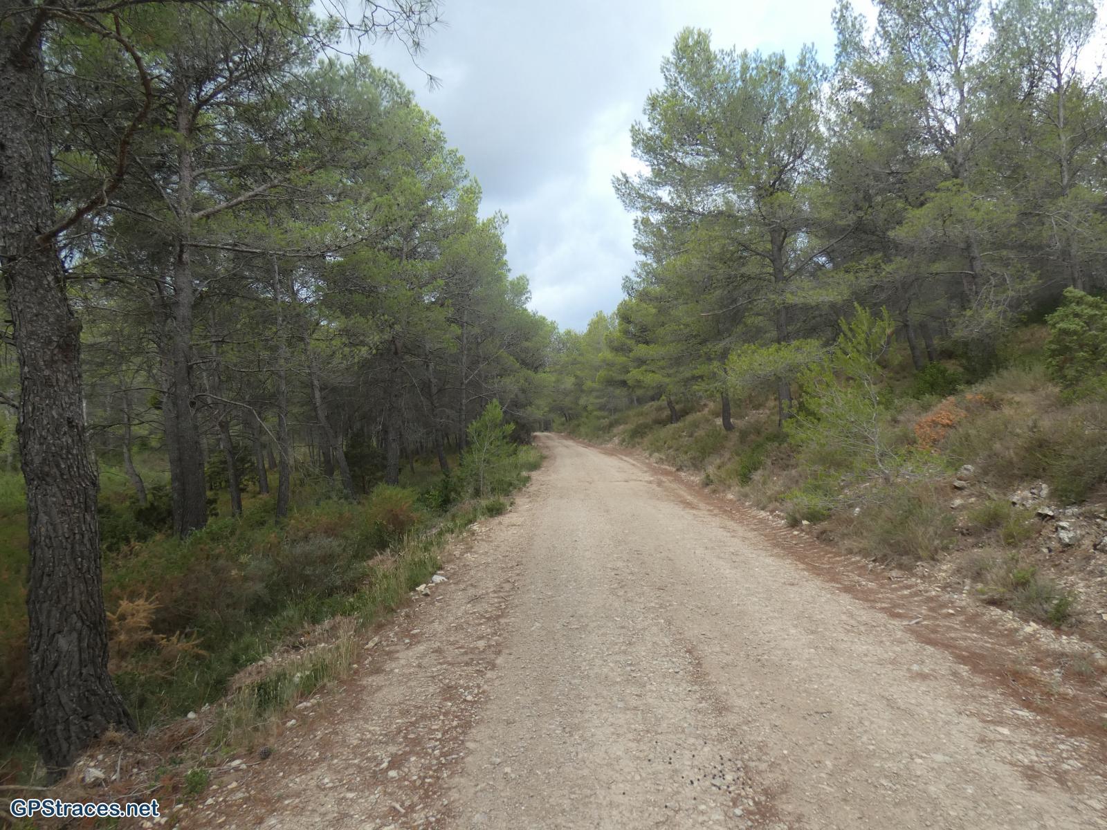 Bouches du Rhône-Alpilles - La Coste Plantier - la Baume Brignolle–2
