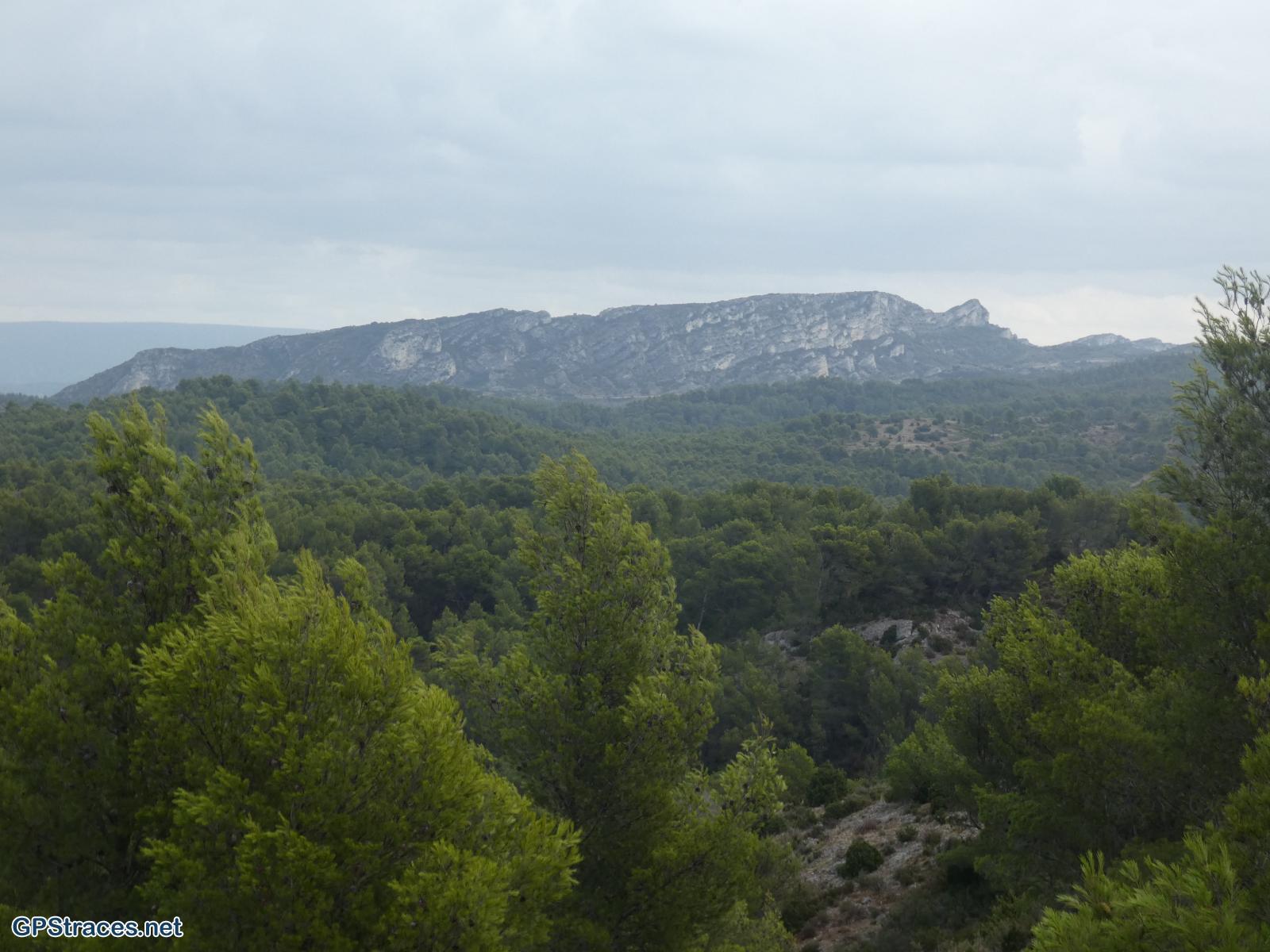 Bouches du Rhône-Alpilles - La Coste Plantier - la Baume Brignolle–5