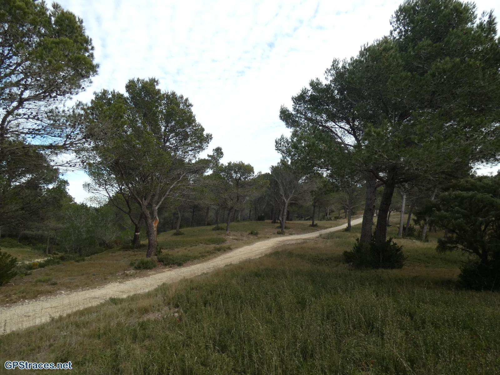 Bouches du Rhône-Alpilles - La Coste Plantier - la Baume Brignolle - Les Quatre Termes–2