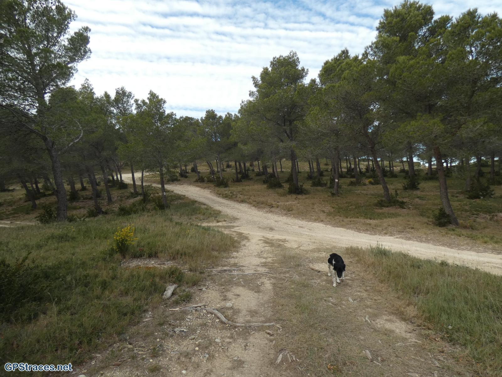 Bouches du Rhône-Alpilles - La Coste Plantier - la Baume Brignolle - Les Quatre Termes–3