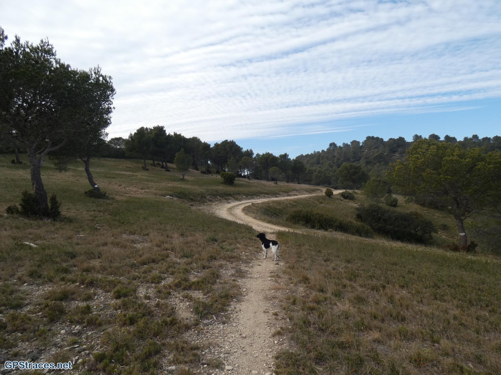 Bouches du Rhône-Alpilles - La Coste Plantier - la Baume Brignolle - Les Quatre Termes–4