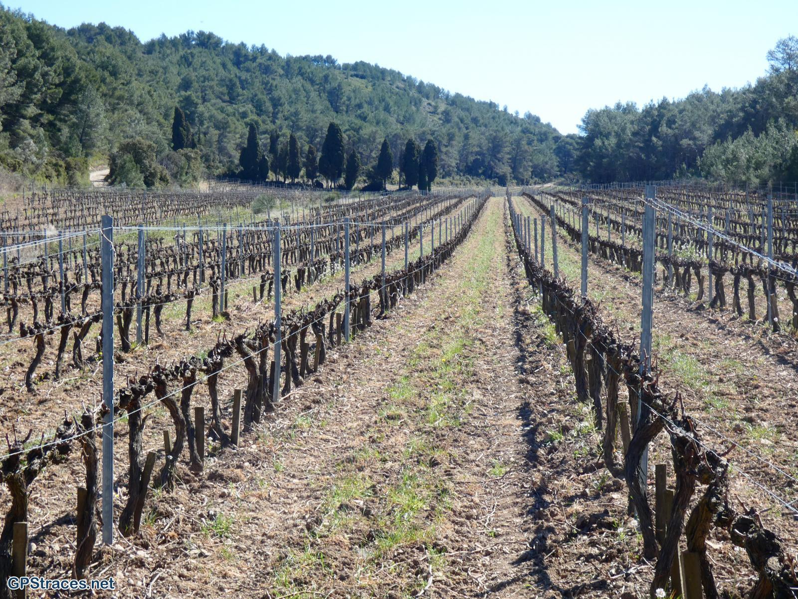 Bouches du Rhône-Alpilles - Eygalières - Aureille - Le Gros Calan–4
