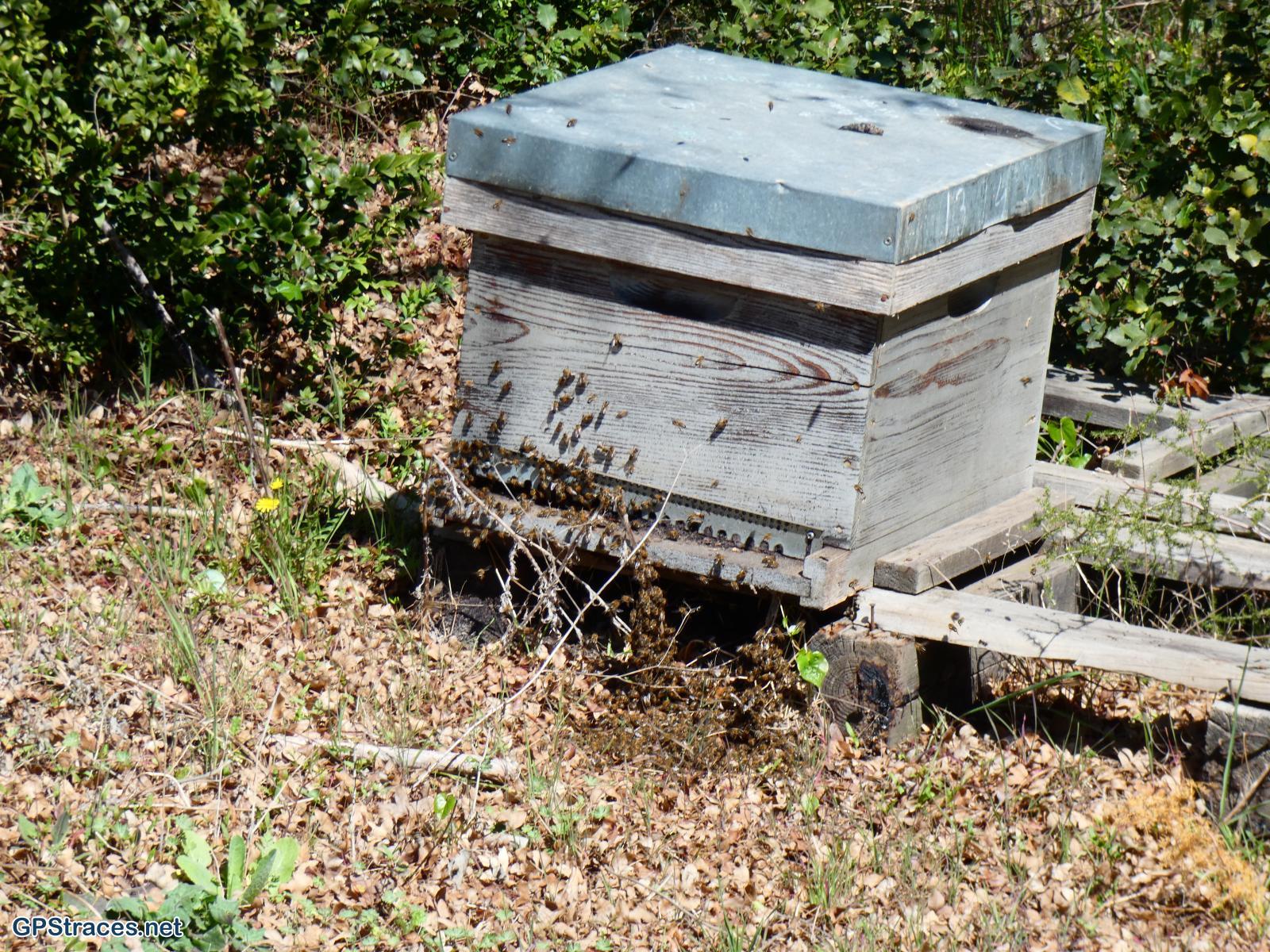 Bouches du Rhône-Alpilles - Eygalières - Aureille - Le Gros Calan–7