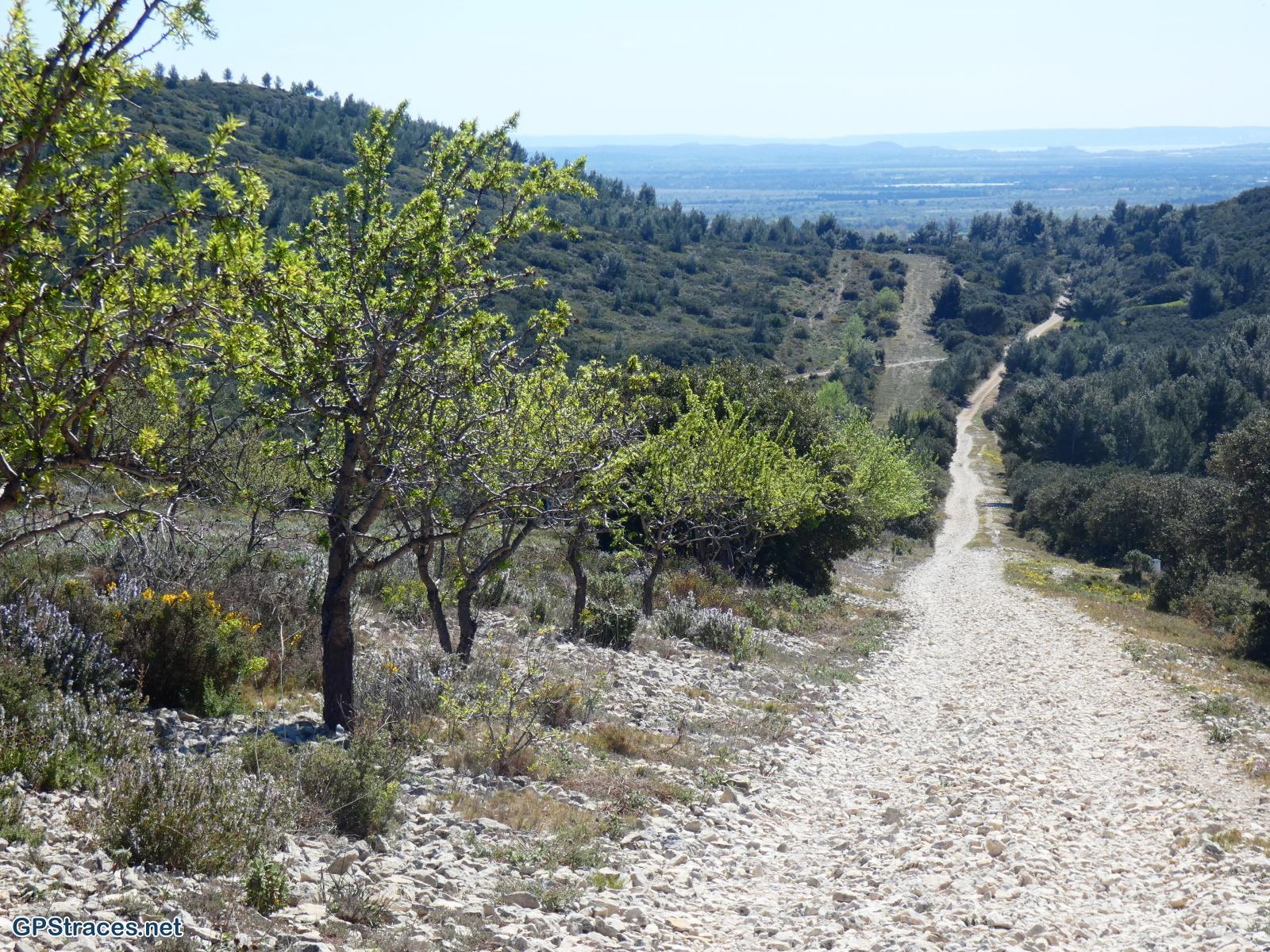 Descente sur Aureille