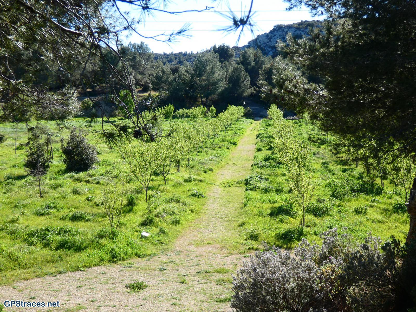 L'arboretarum