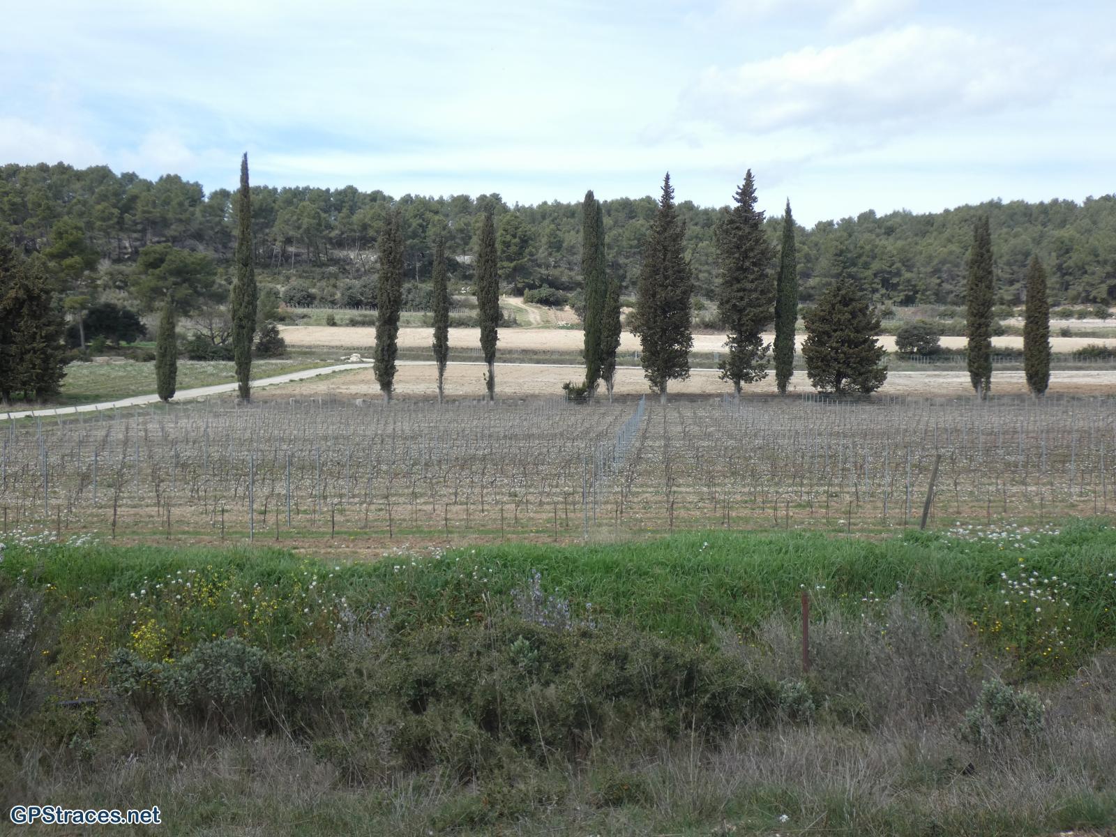 Bouches du Rhône-Alpilles - Eygalières - Chapelle Saint-Sixte–6
