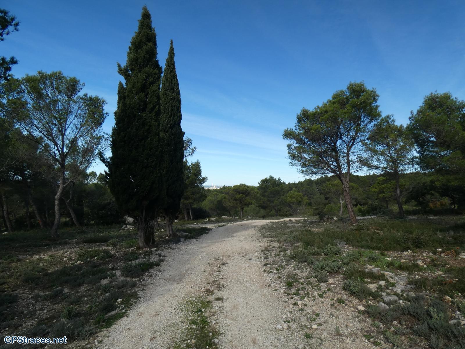 Bouches du Rhône-Alpilles - La falaise du vallon de la Lèque–0