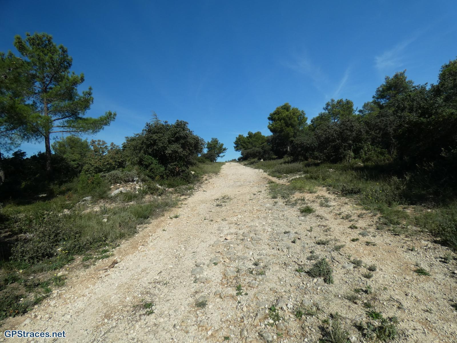 Bouches du Rhône-Alpilles - La falaise du vallon de la Lèque–2