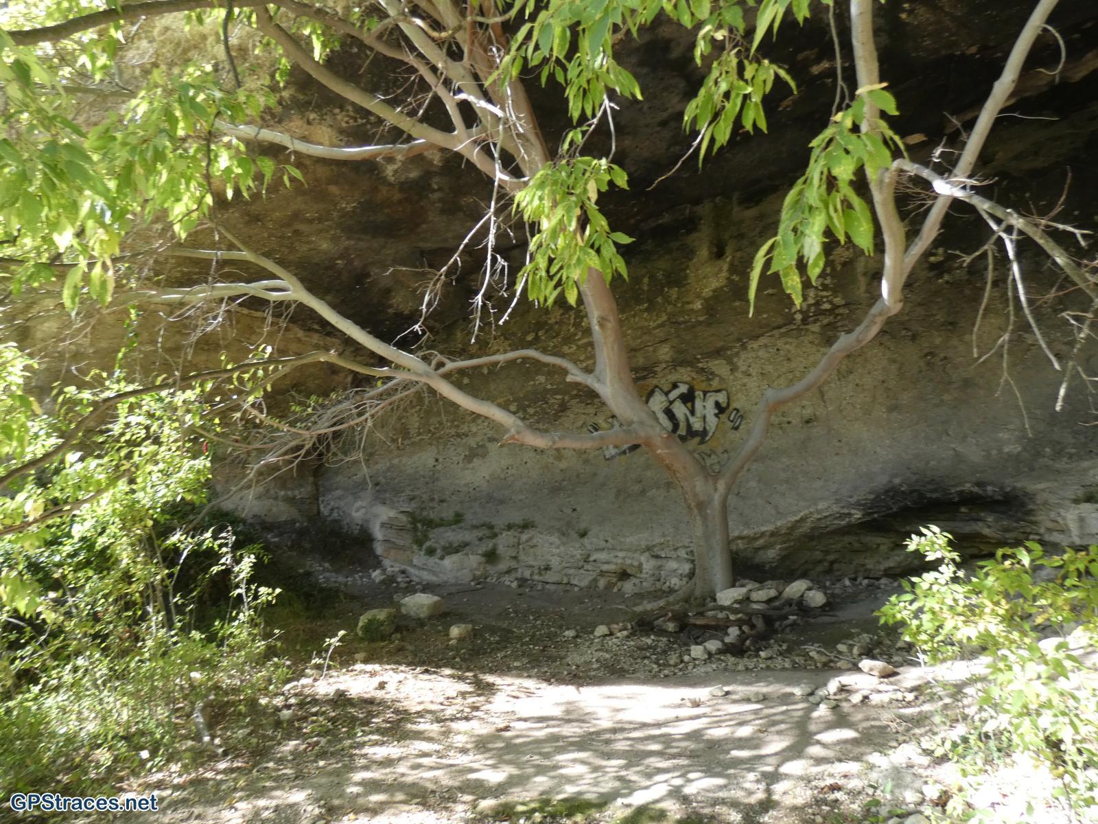 Bouches du Rhône-Alpilles - La falaise du vallon de la Lèque–11