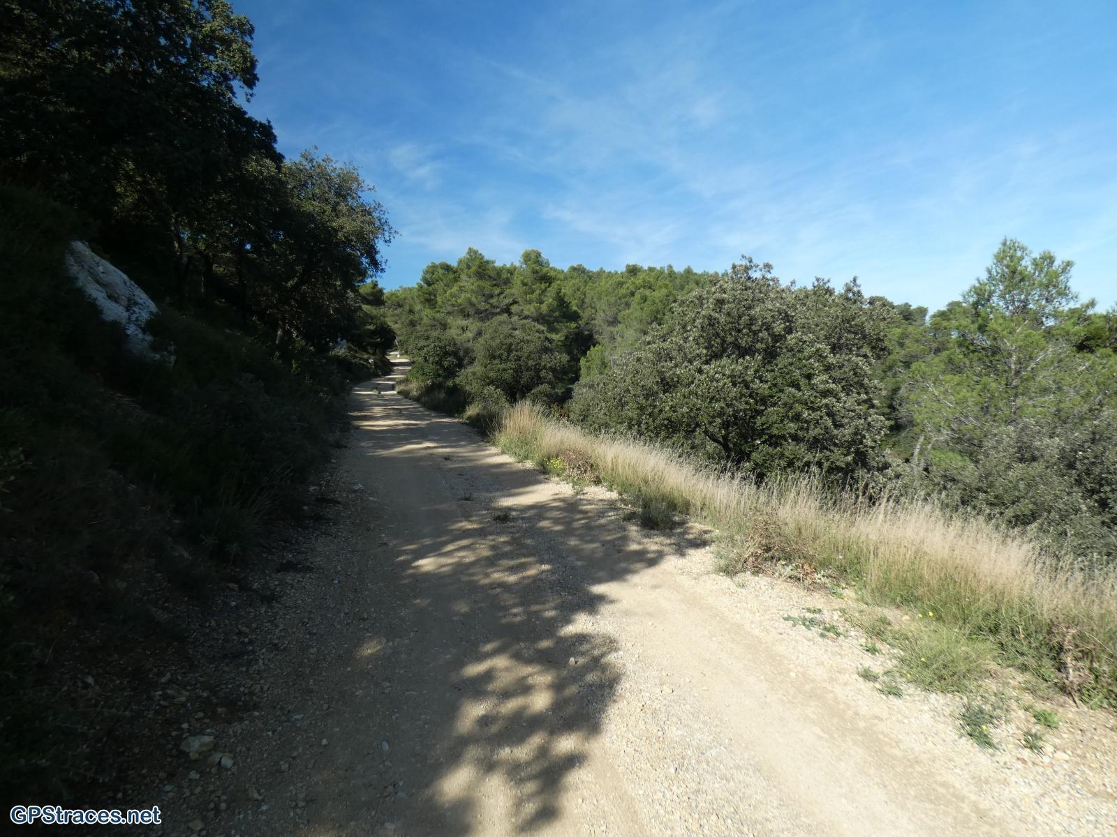 Bouches du Rhône-Alpilles - La falaise du vallon de la Lèque–14