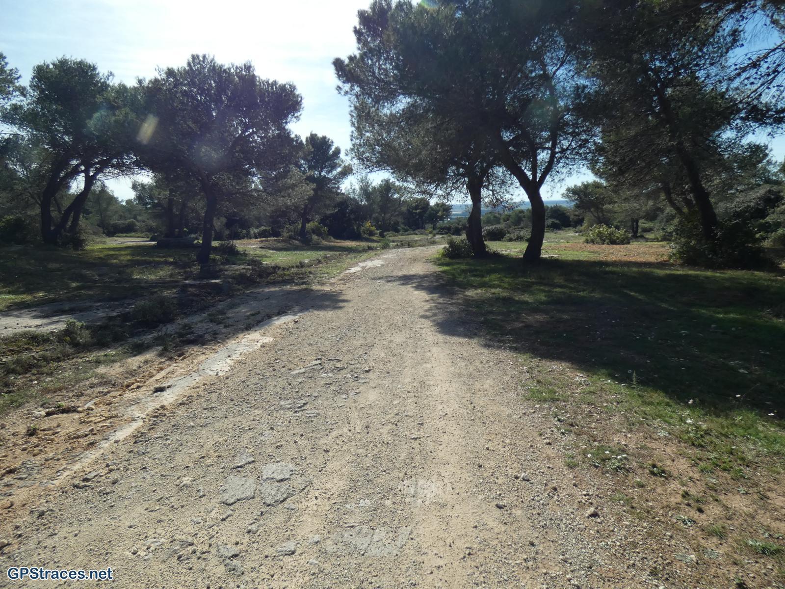 Bouches du Rhône-Alpilles - La falaise du vallon de la Lèque–15
