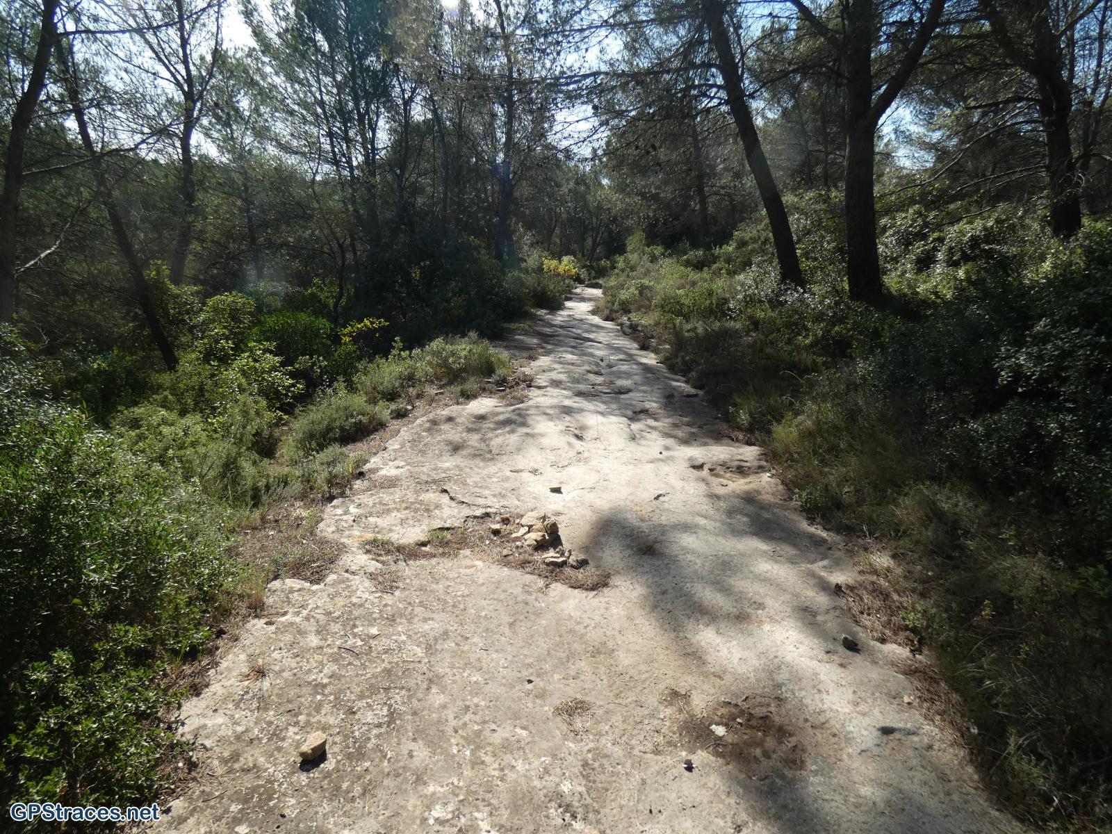 La lèque