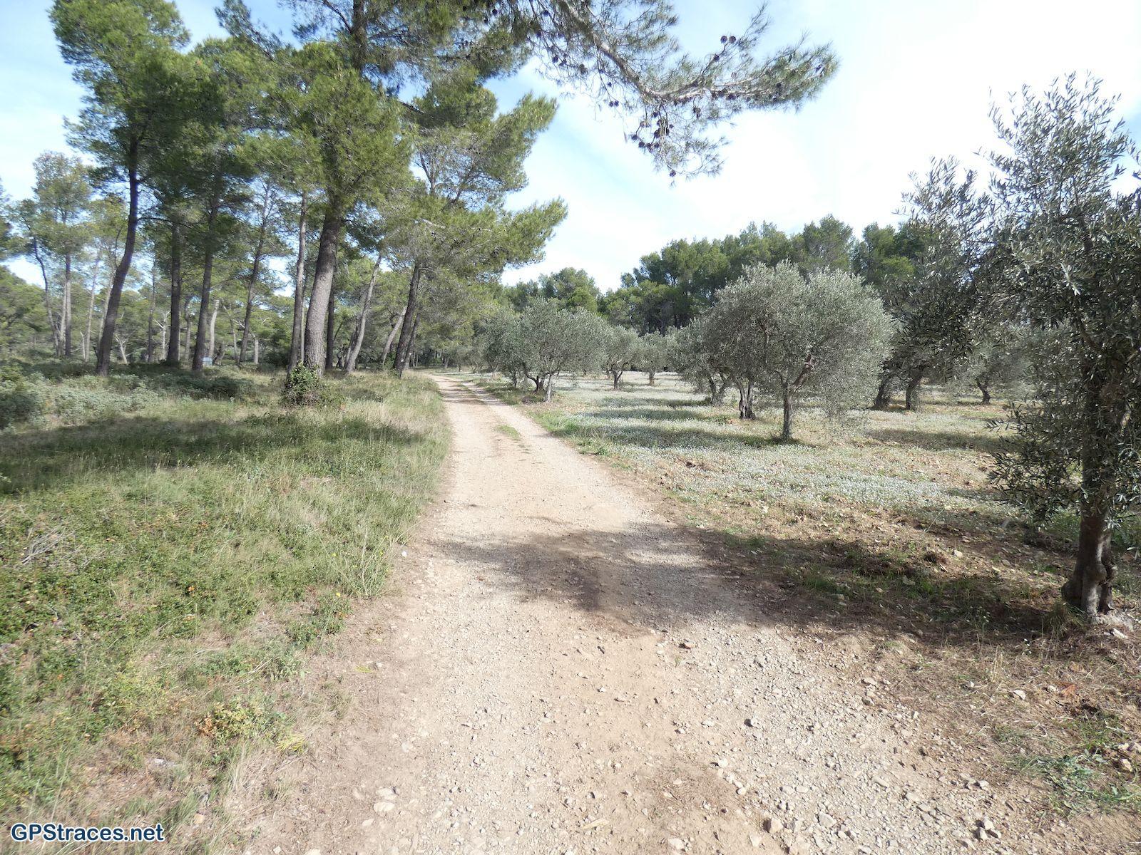 Bouches du Rhône-Alpilles - Fontvielle-Aqueduc-Autel de la Coquille–9