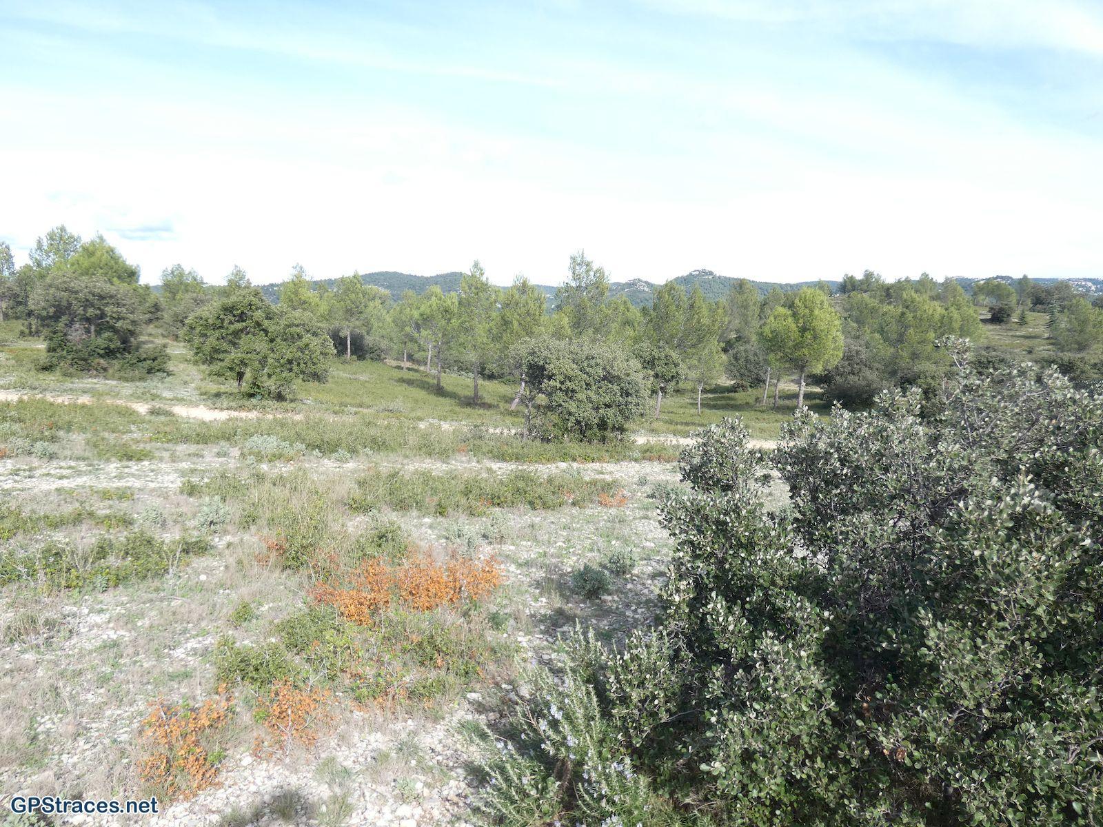 Bouches du Rhône-Alpilles - Fontvielle-Aqueduc-Autel de la Coquille–11