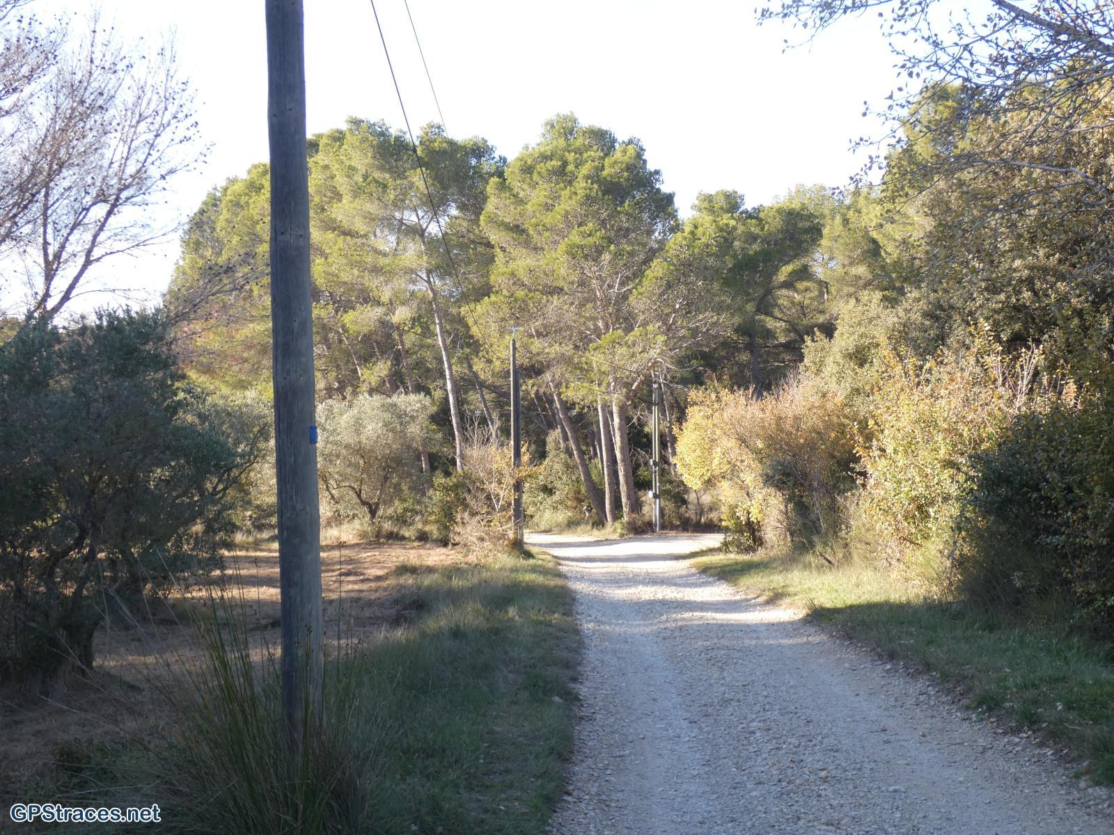 Bouches du Rhône-Alpilles - De Fontvielle au Paradou–23