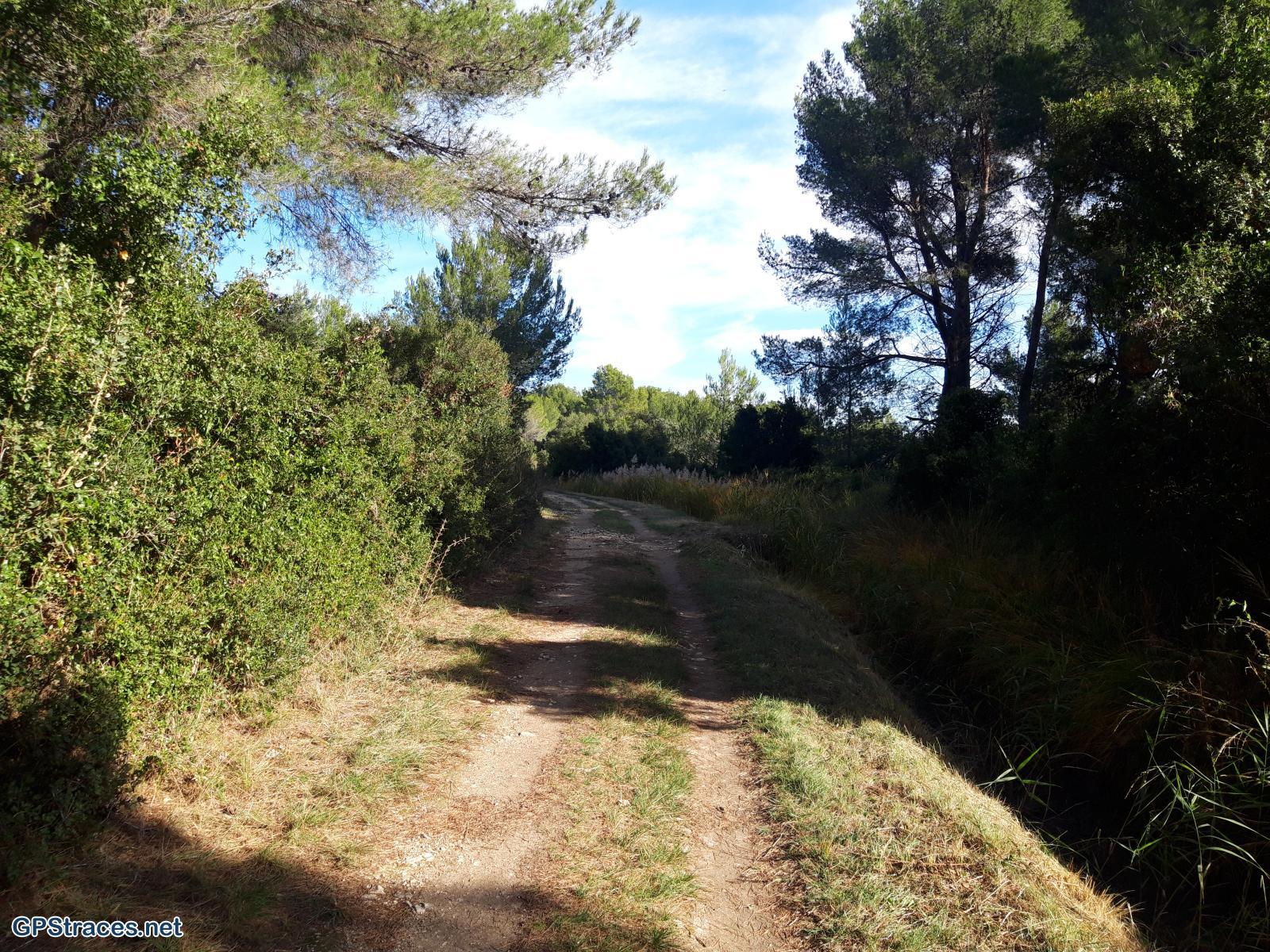 Le canal de la Vallée des Baux