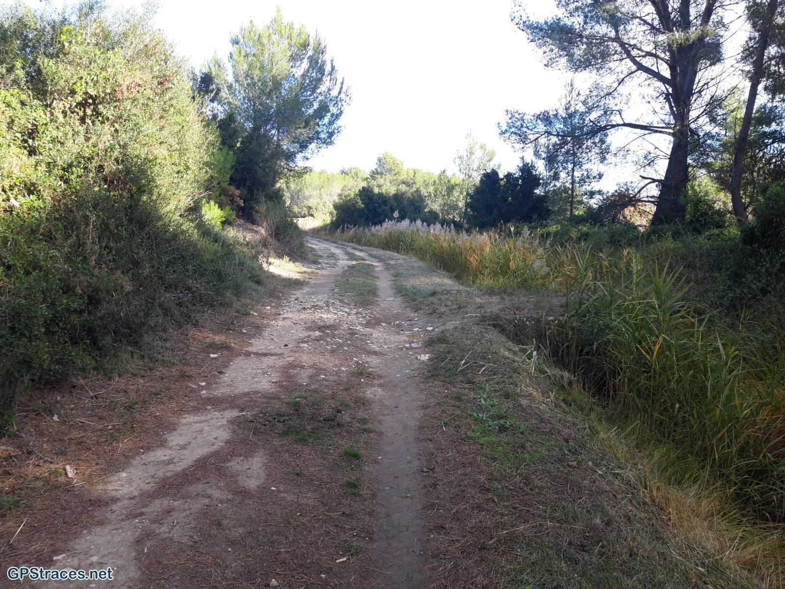 Le canal de la Vallée des Baux