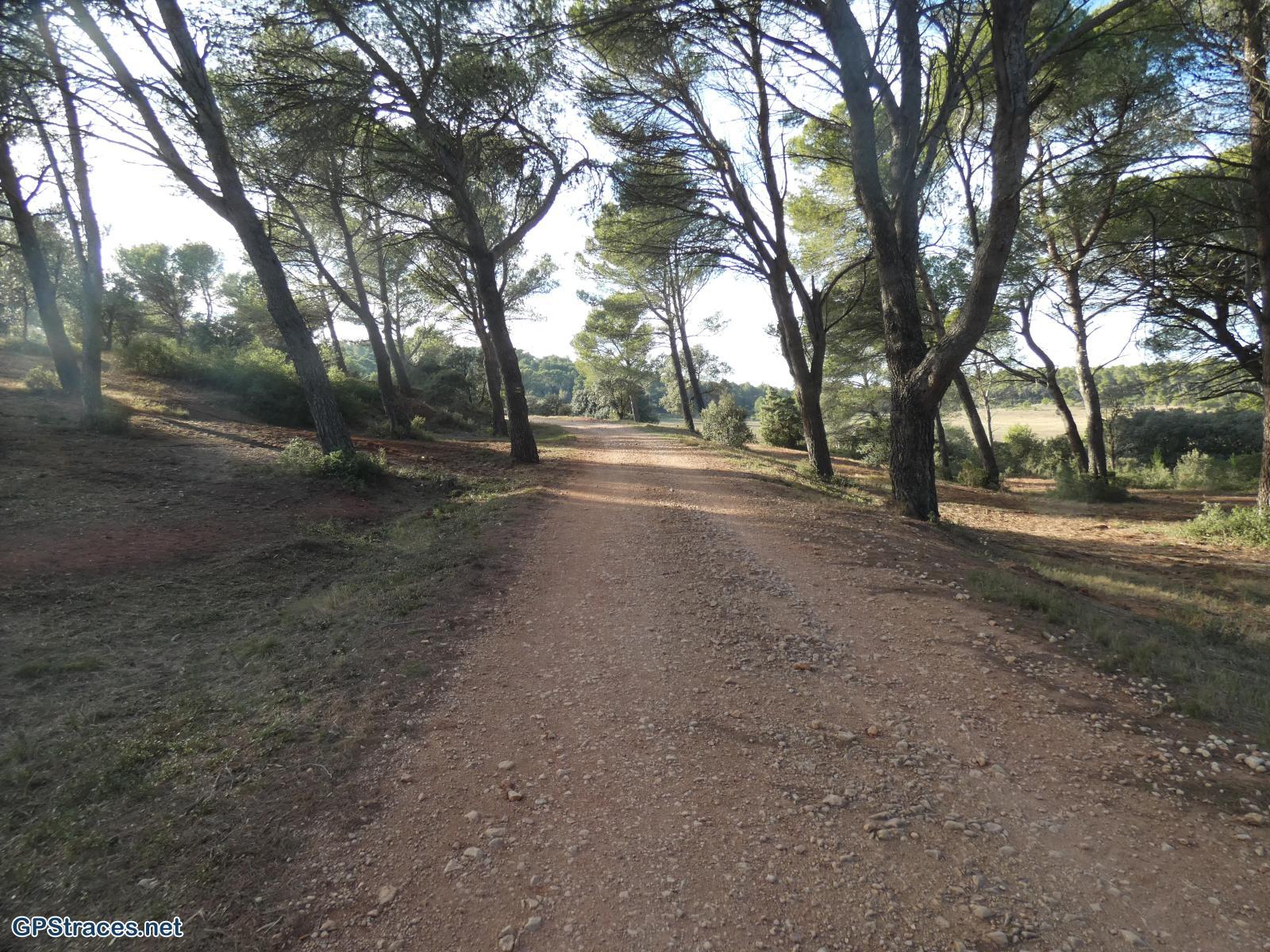 Bouches du Rhône-Alpilles - De Fontvielle au Paradou–24