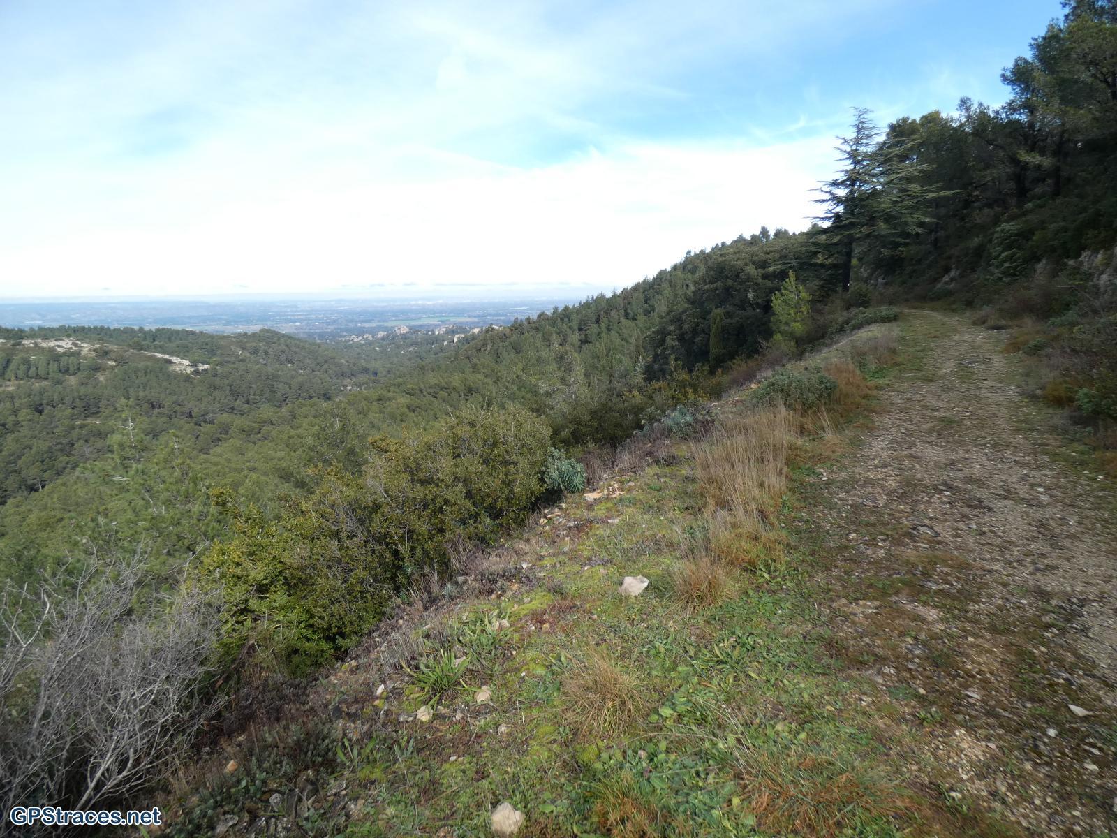 Bouches du Rhône-Alpilles - Gaudre de Valample–3