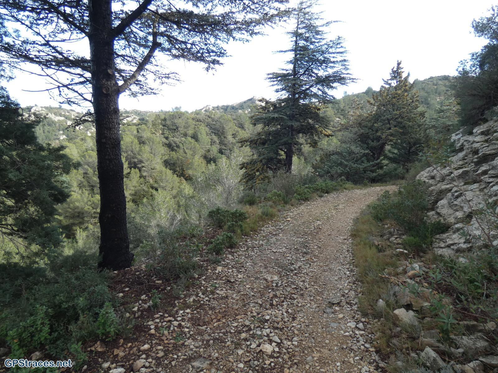 Bouches du Rhône-Alpilles - Gaudre de Valample–4