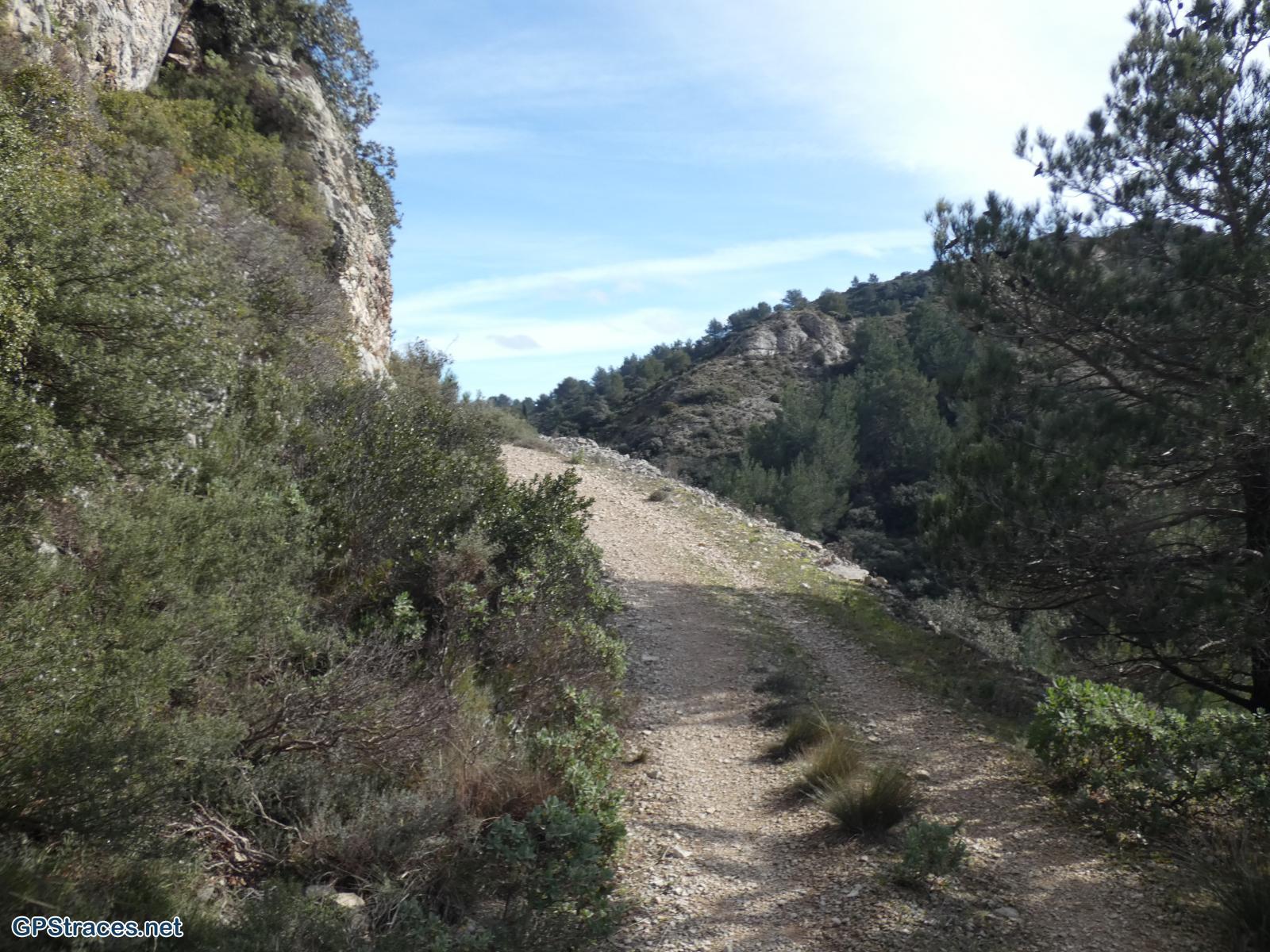 Bouches du Rhône-Alpilles - Gaudre de Valample–5