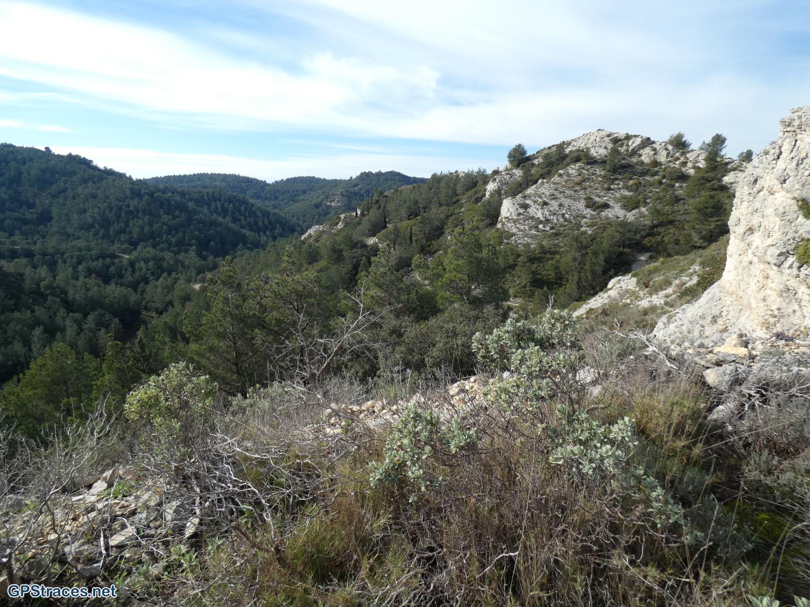 Bouches du Rhône-Alpilles - Gaudre de Valample–6