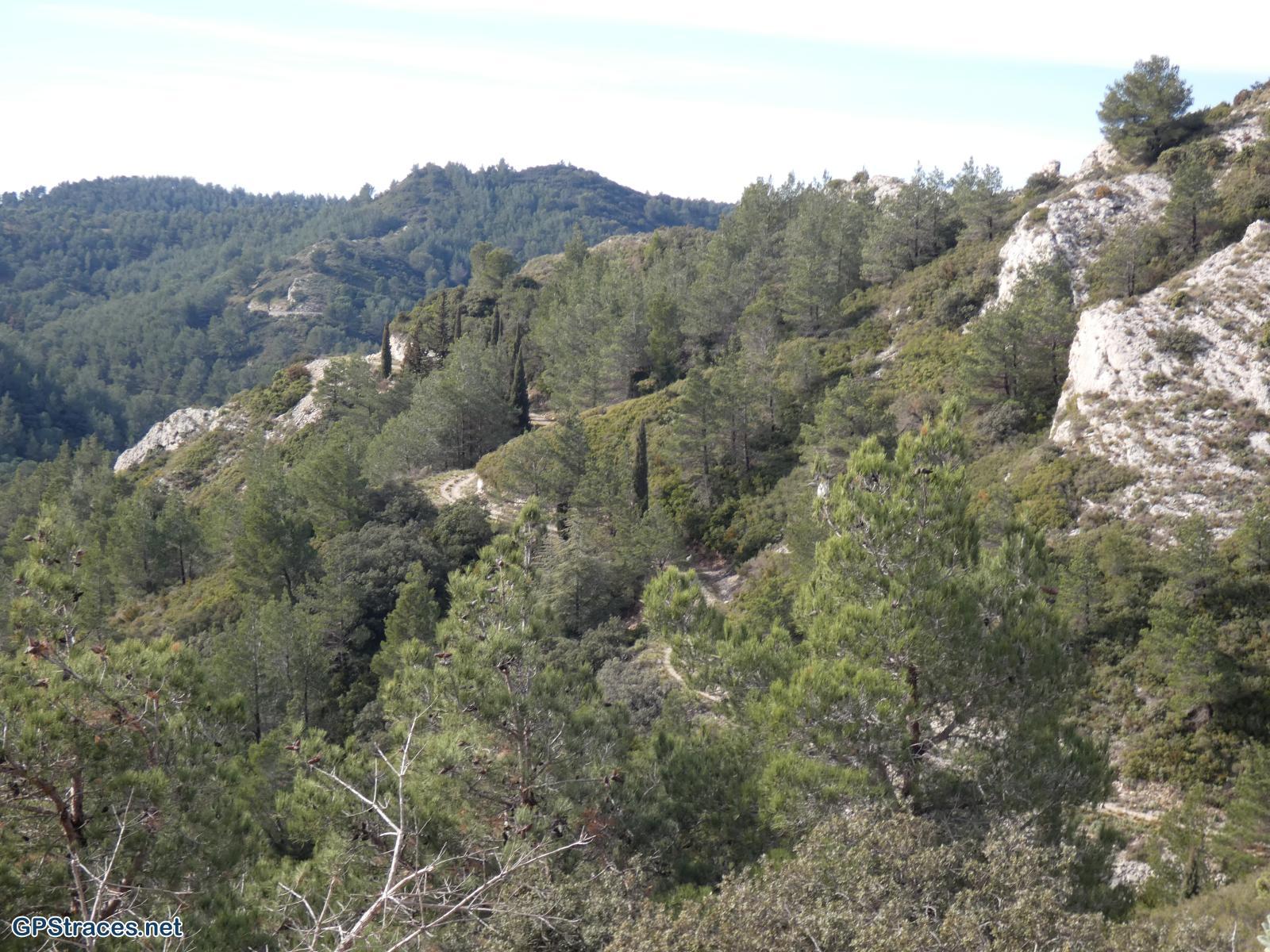 Bouches du Rhône-Alpilles - Gaudre de Valample–7