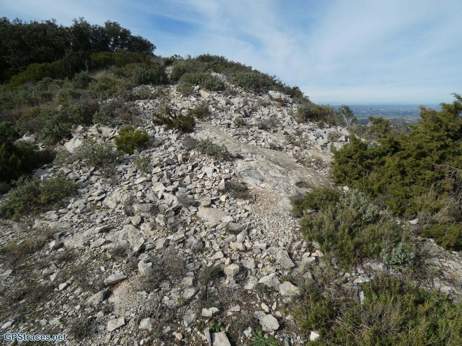 Bouches du Rhône-Alpilles - Gaudre de Valample–9
