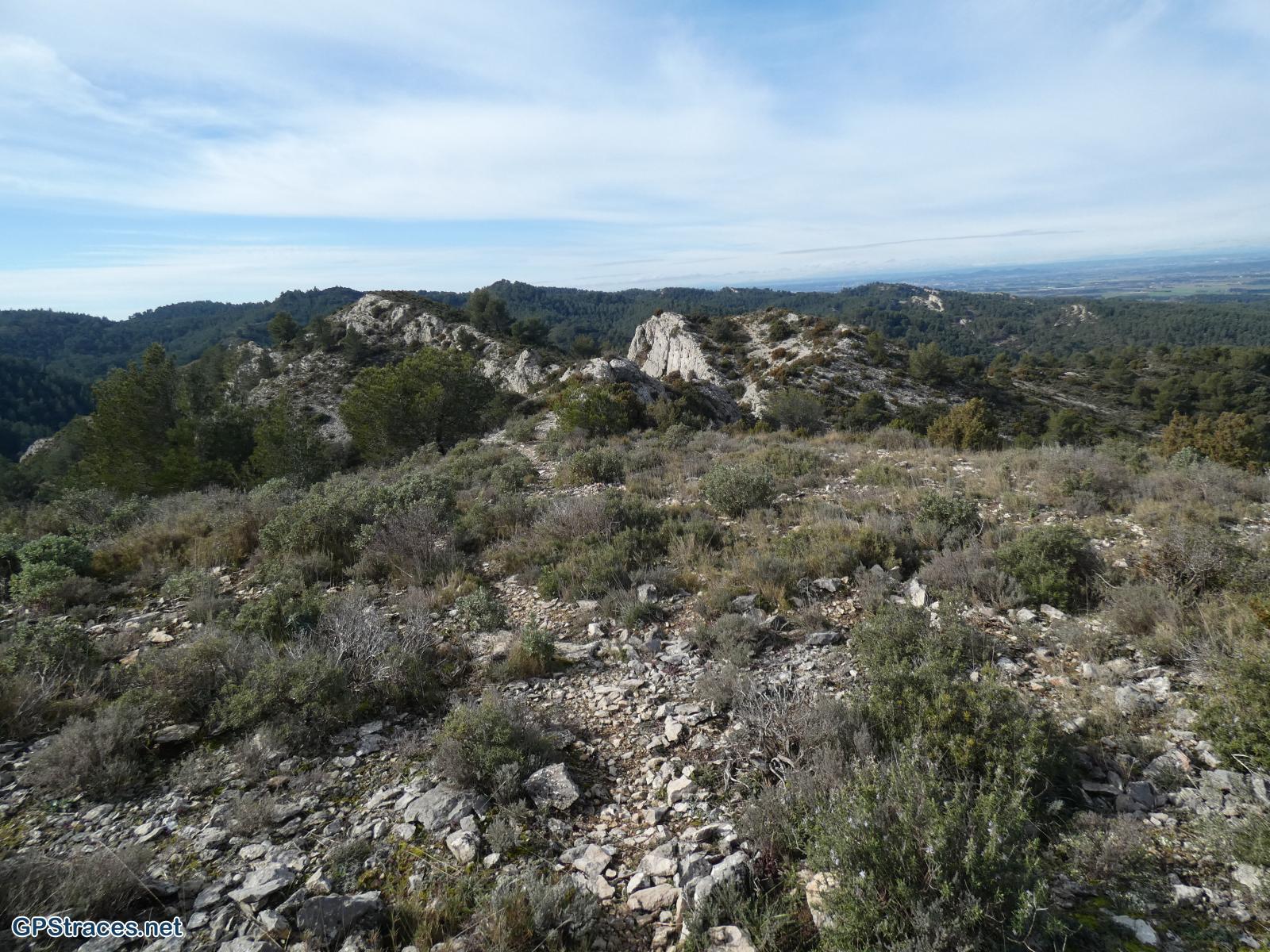 Bouches du Rhône-Alpilles - Gaudre de Valample–10