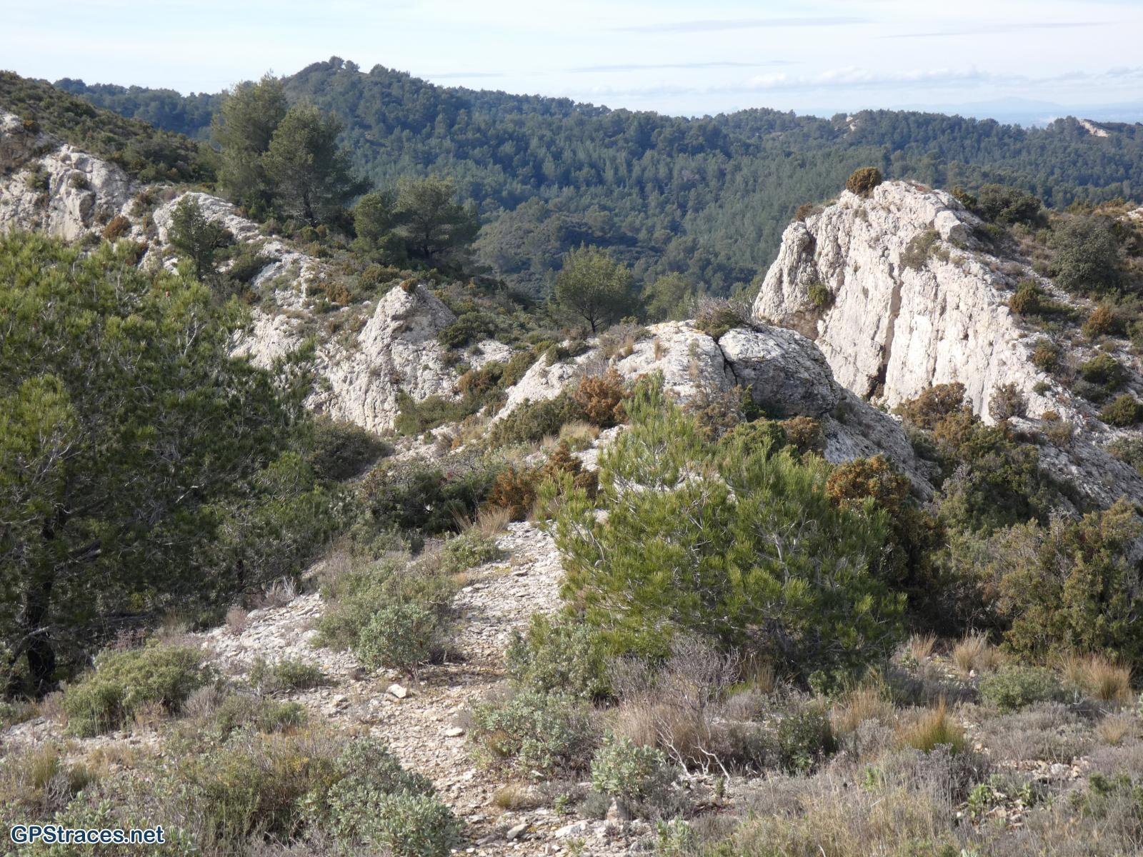 Bouches du Rhône-Alpilles - Gaudre de Valample–11