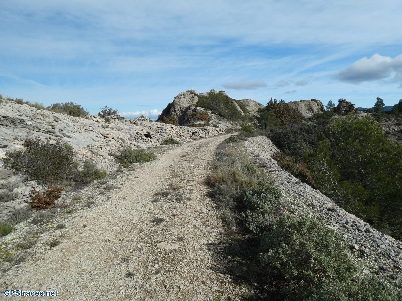 Bouches du Rhône-Alpilles - Gaudre de Valample–13