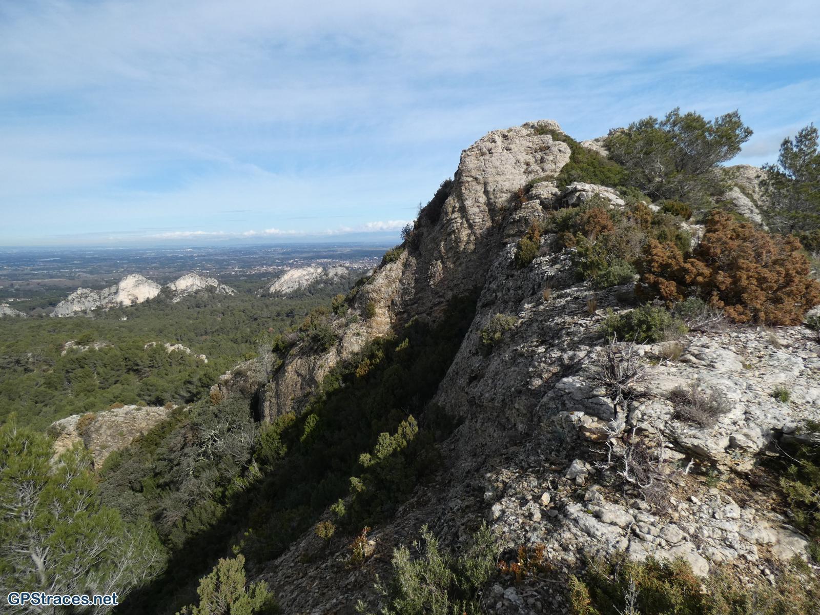 Bouches du Rhône-Alpilles - Gaudre de Valample–15
