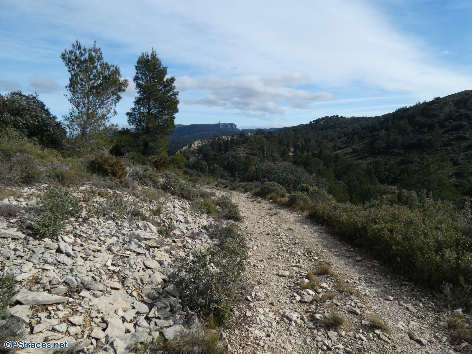 Bouches du Rhône-Alpilles - Gaudre de Valample–16