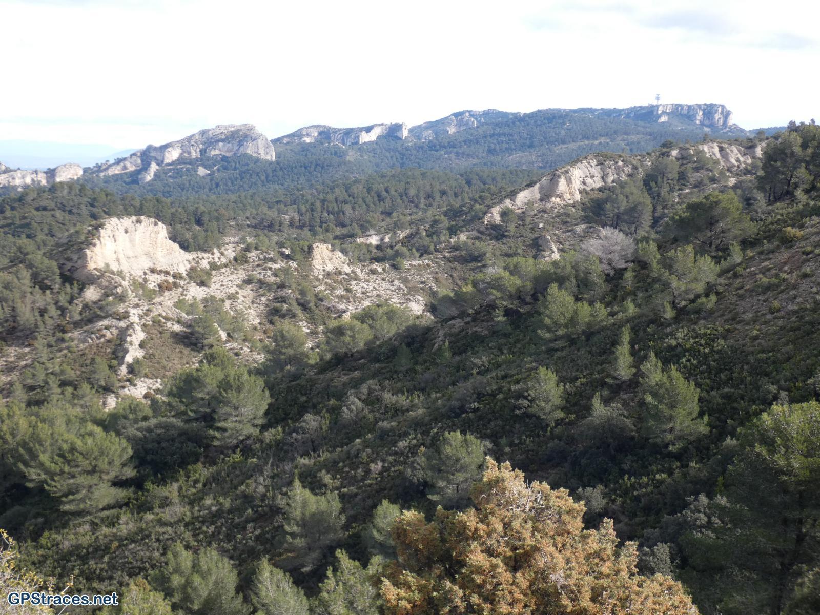 Bouches du Rhône-Alpilles - Gaudre de Valample–18
