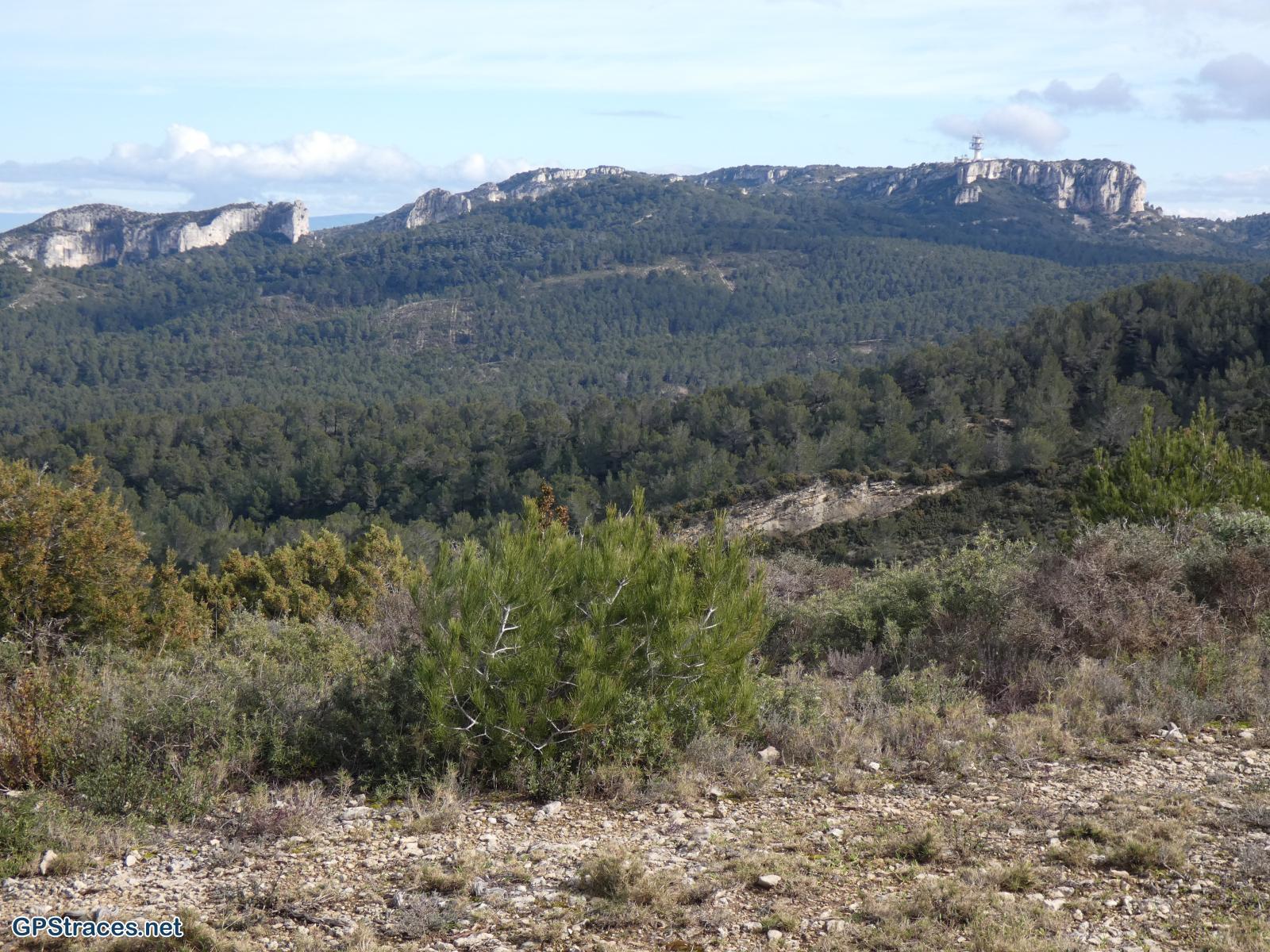 Le plateau de la Caume