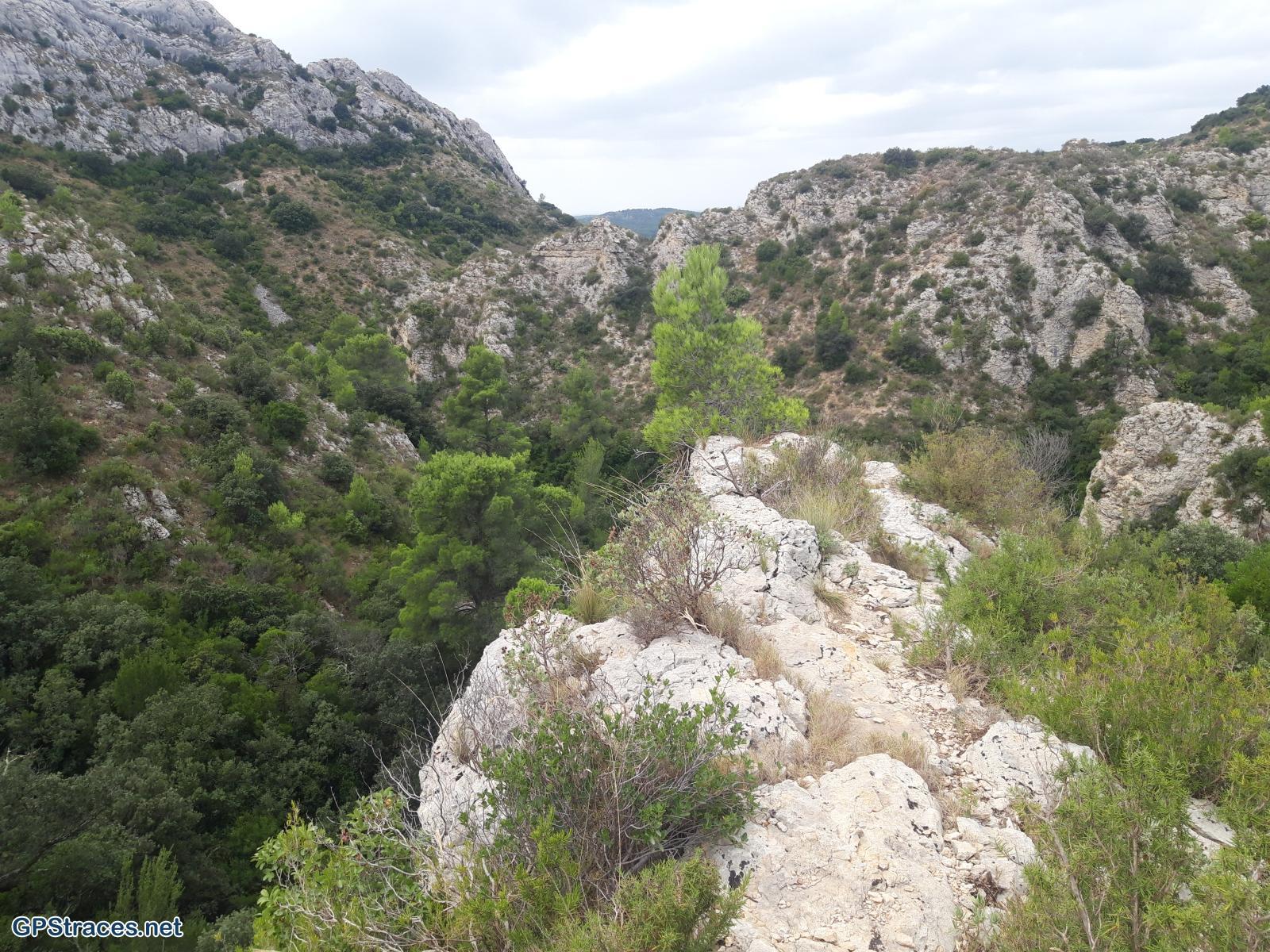 Bouches du Rhône-Alpilles - Les grands Calans - Le Mas Rouge–5