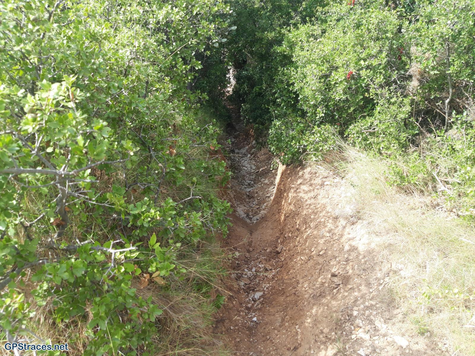 Bouches du Rhône-Alpilles - Les grands Calans - Le Mas Rouge–19