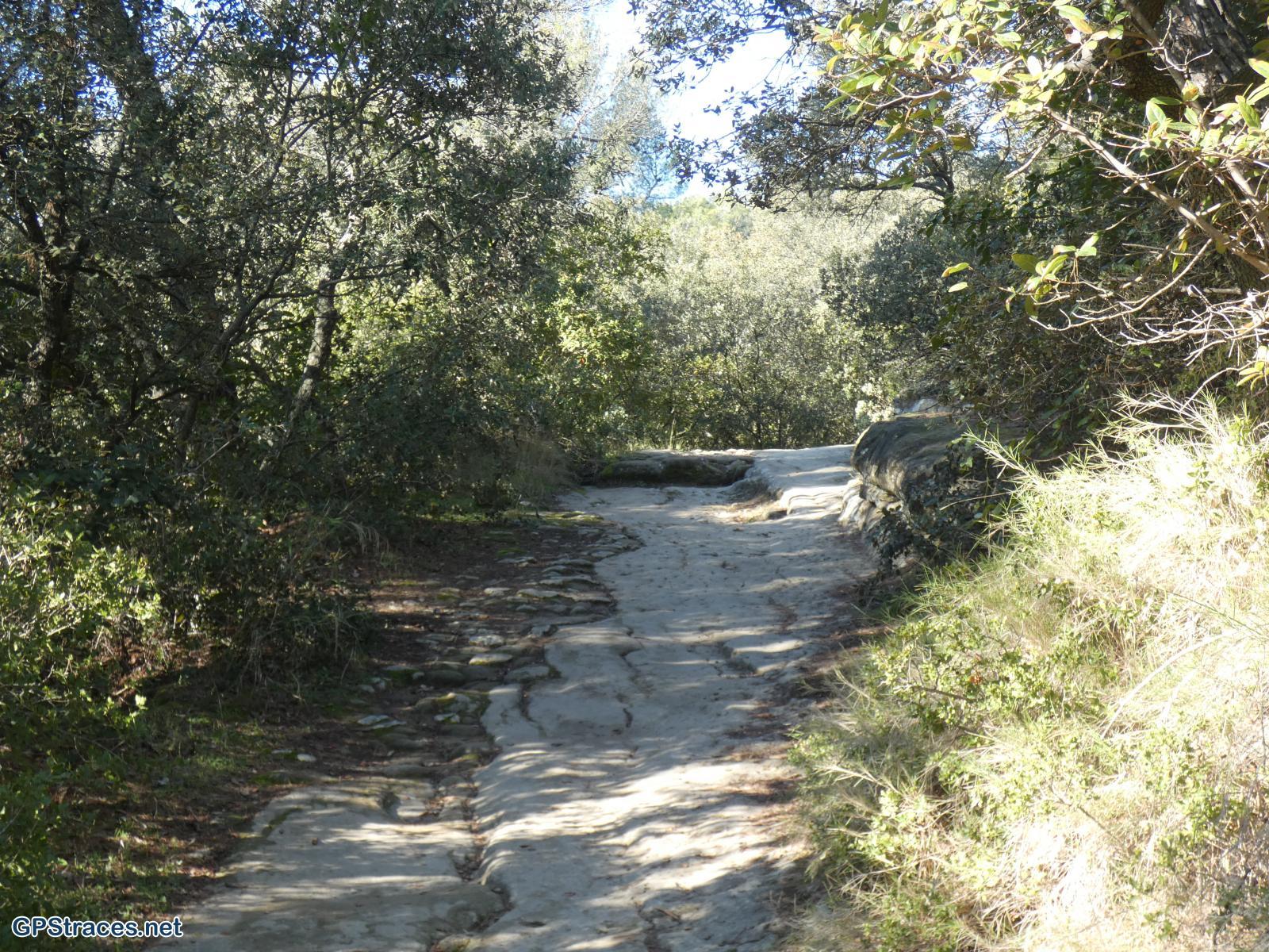 Bouches du Rhône-Alpilles - Lamanon - Castellas de Roquemartine–0