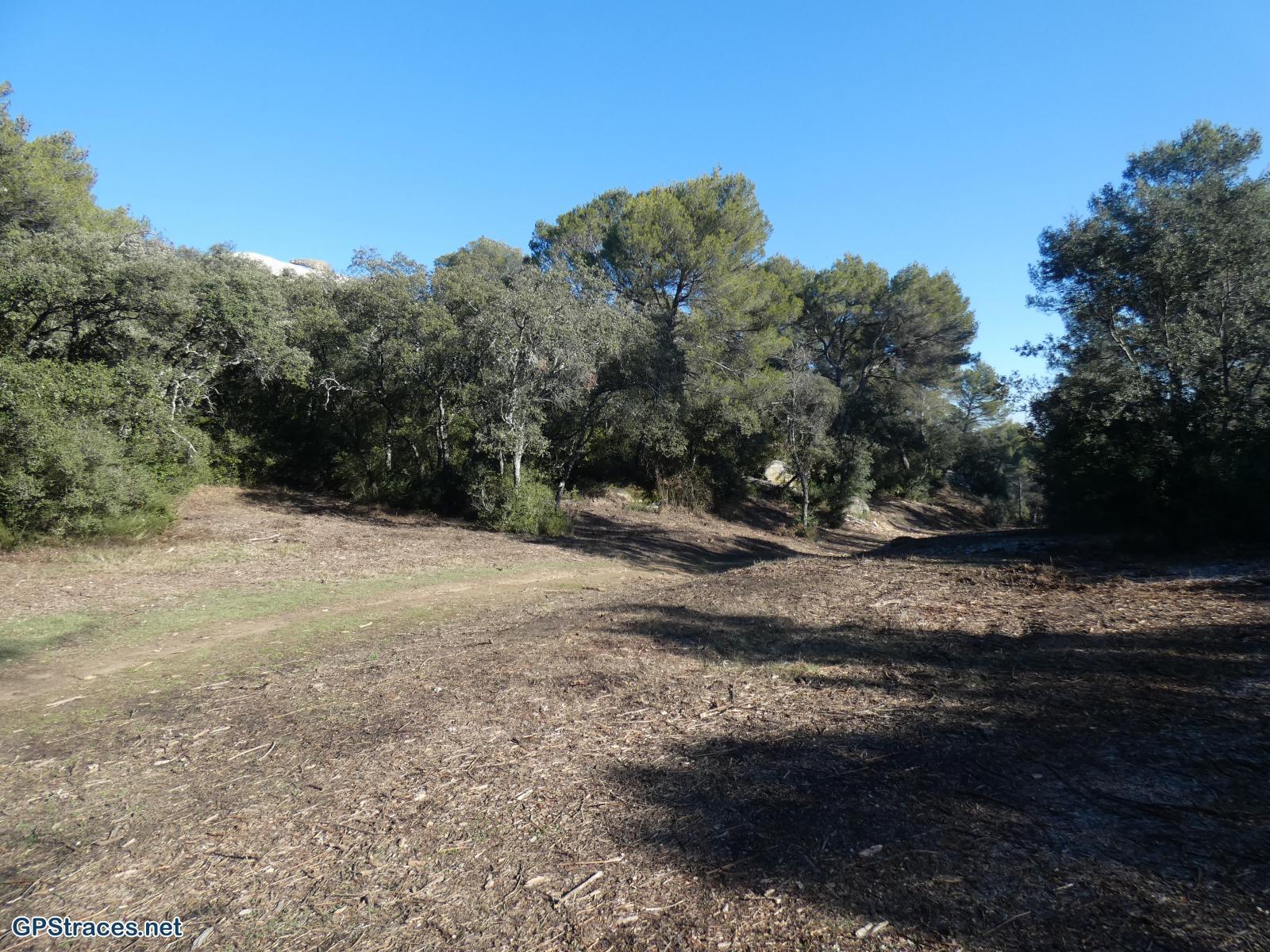 Bouches du Rhône-Alpilles - Lamanon - Castellas de Roquemartine–6