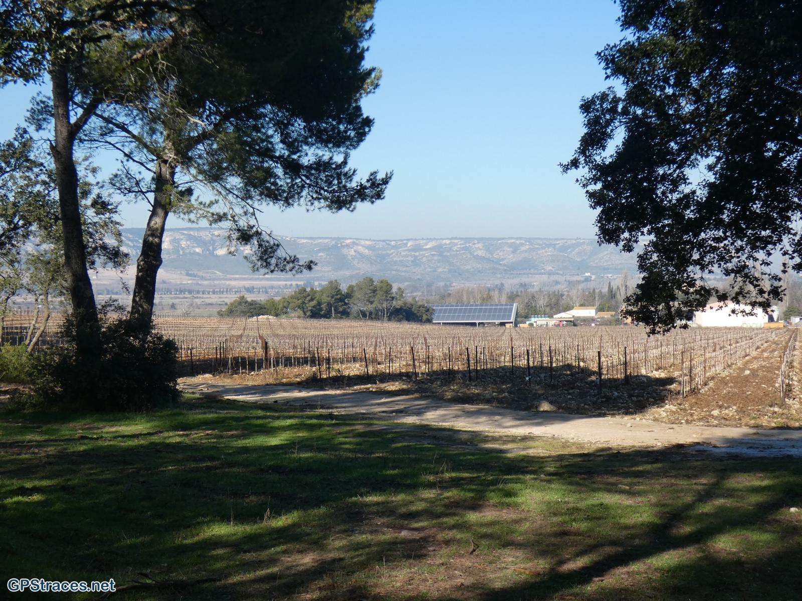 Bouches du Rhône-Alpilles - Lamanon - Castellas de Roquemartine–7