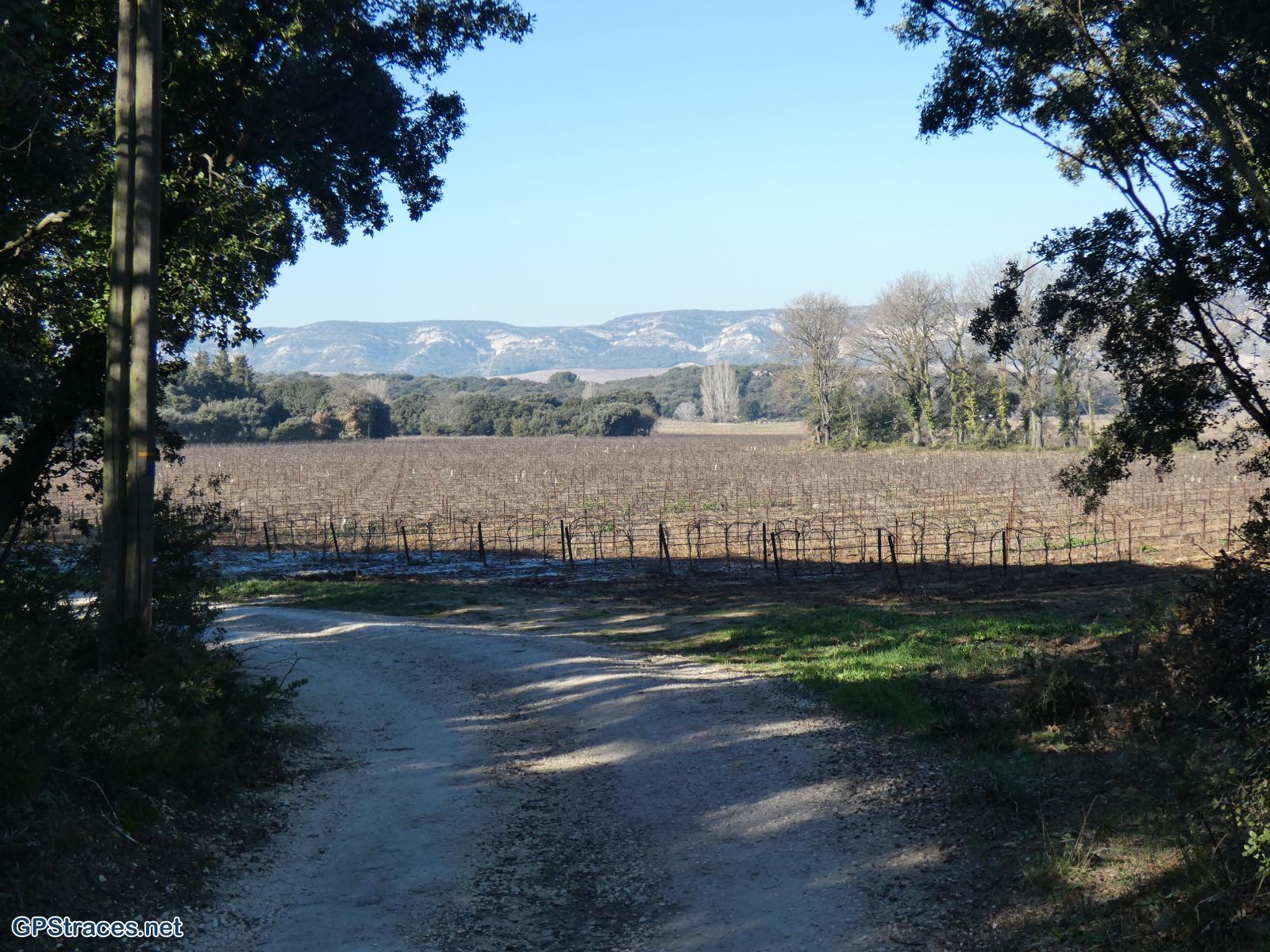 Bouches du Rhône-Alpilles - Lamanon - Castellas de Roquemartine–8