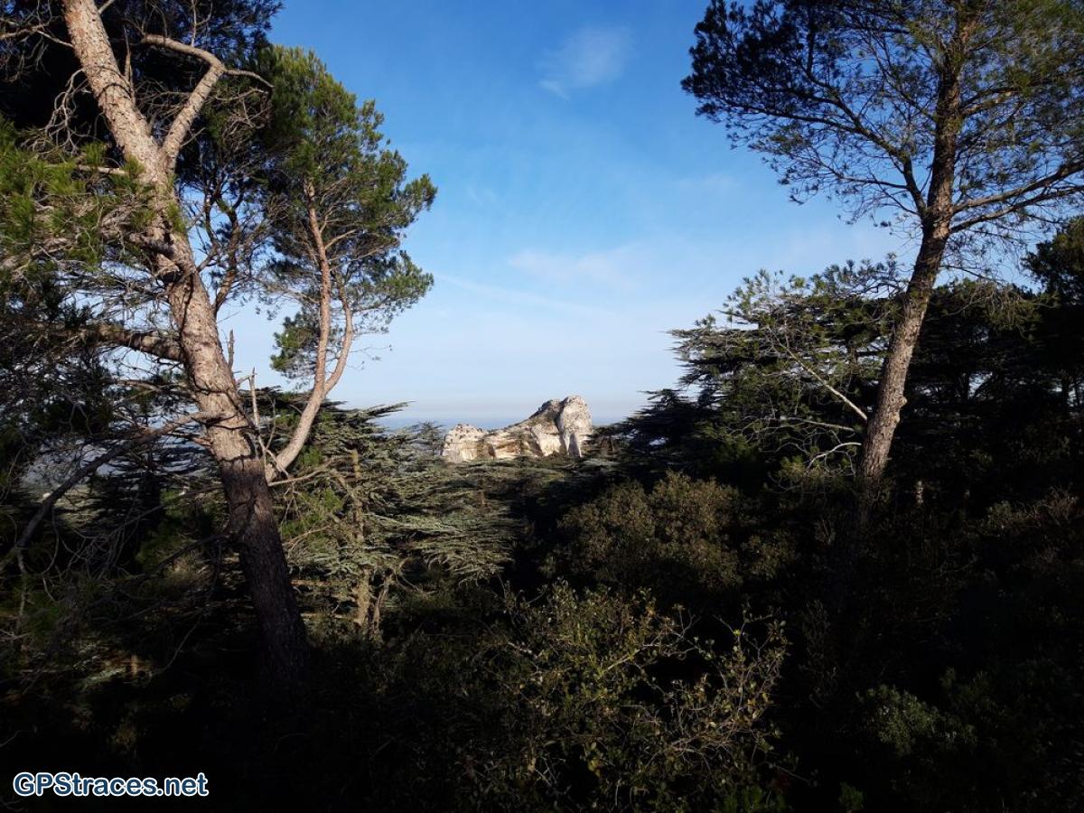 Bouches du Rhône-Alpilles - Mont Gaussier - Plateau de la Caume–0
