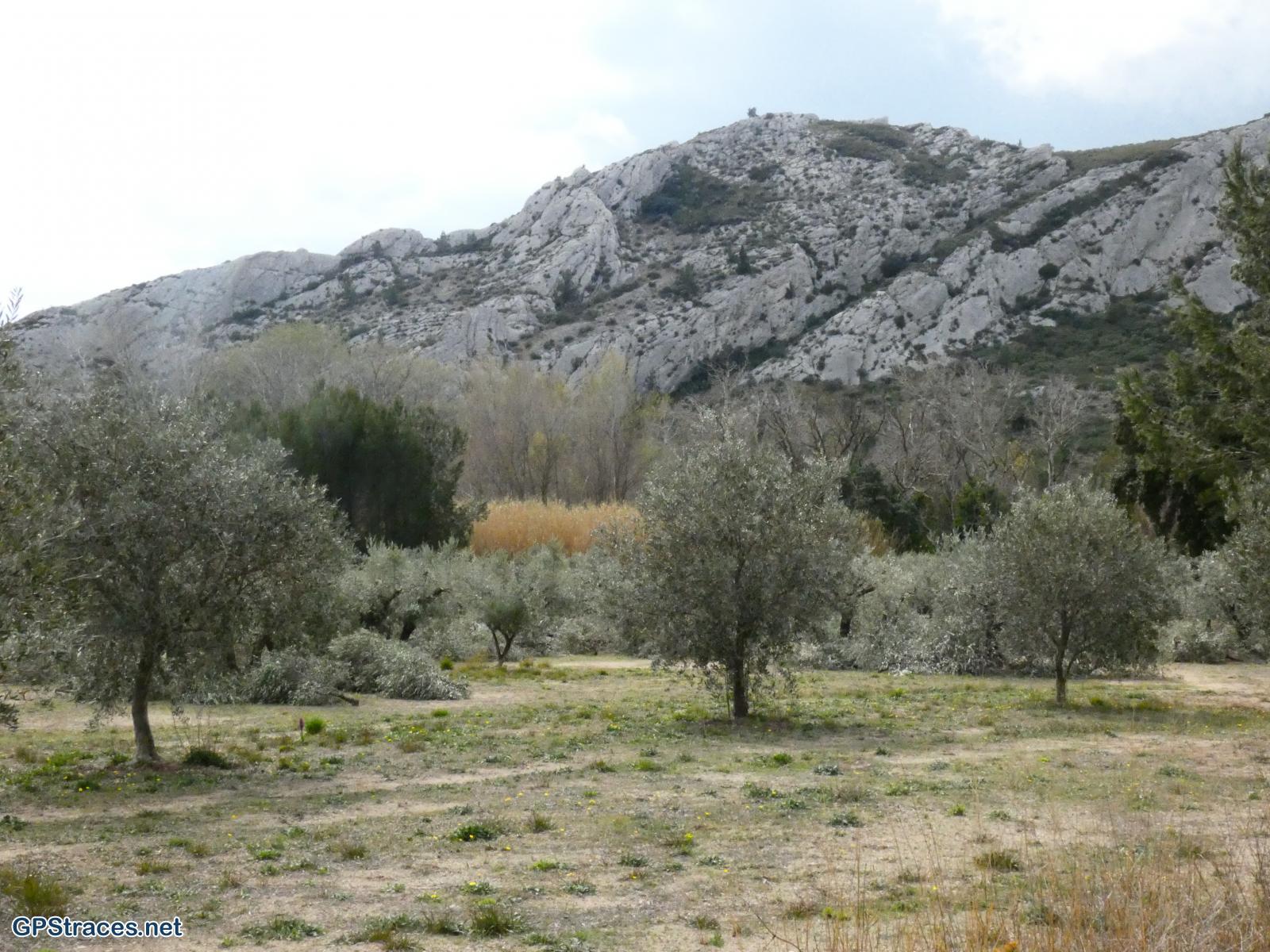 Bouches du Rhône-Alpilles - Mouriès - Aureille–2